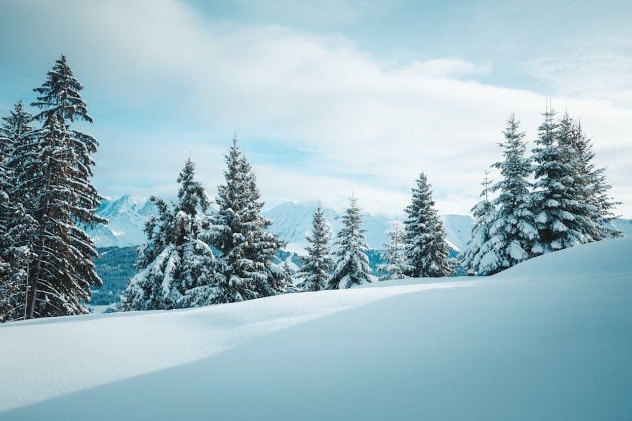 Rinnovo_di_Matlock_per_la_seconda_stagione_etTJYFSJKs - Confidenze24 Source: Ryan Klaus - pexels - Tranquil winter scene of snow-covered trees in Megève, France amidst the Alps.