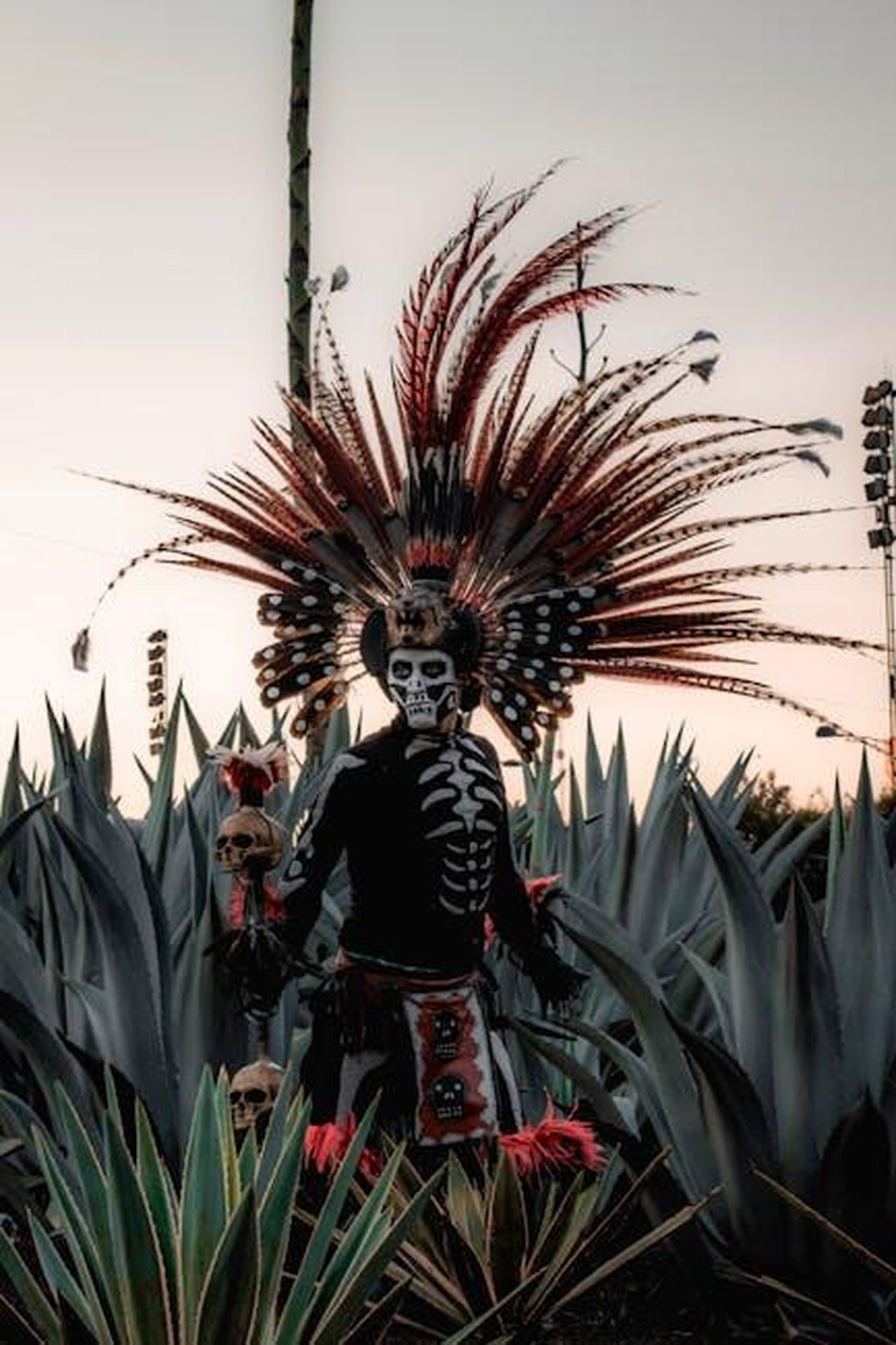 Rituali_spirituali_indigeni_durante_uneclissi_lunare_DBWcVjh0rm - Confidenze24 Source: Ulises Peña - pexels - A man in traditional Mexican festival attire with a feathered headdress stands among large agave plants.