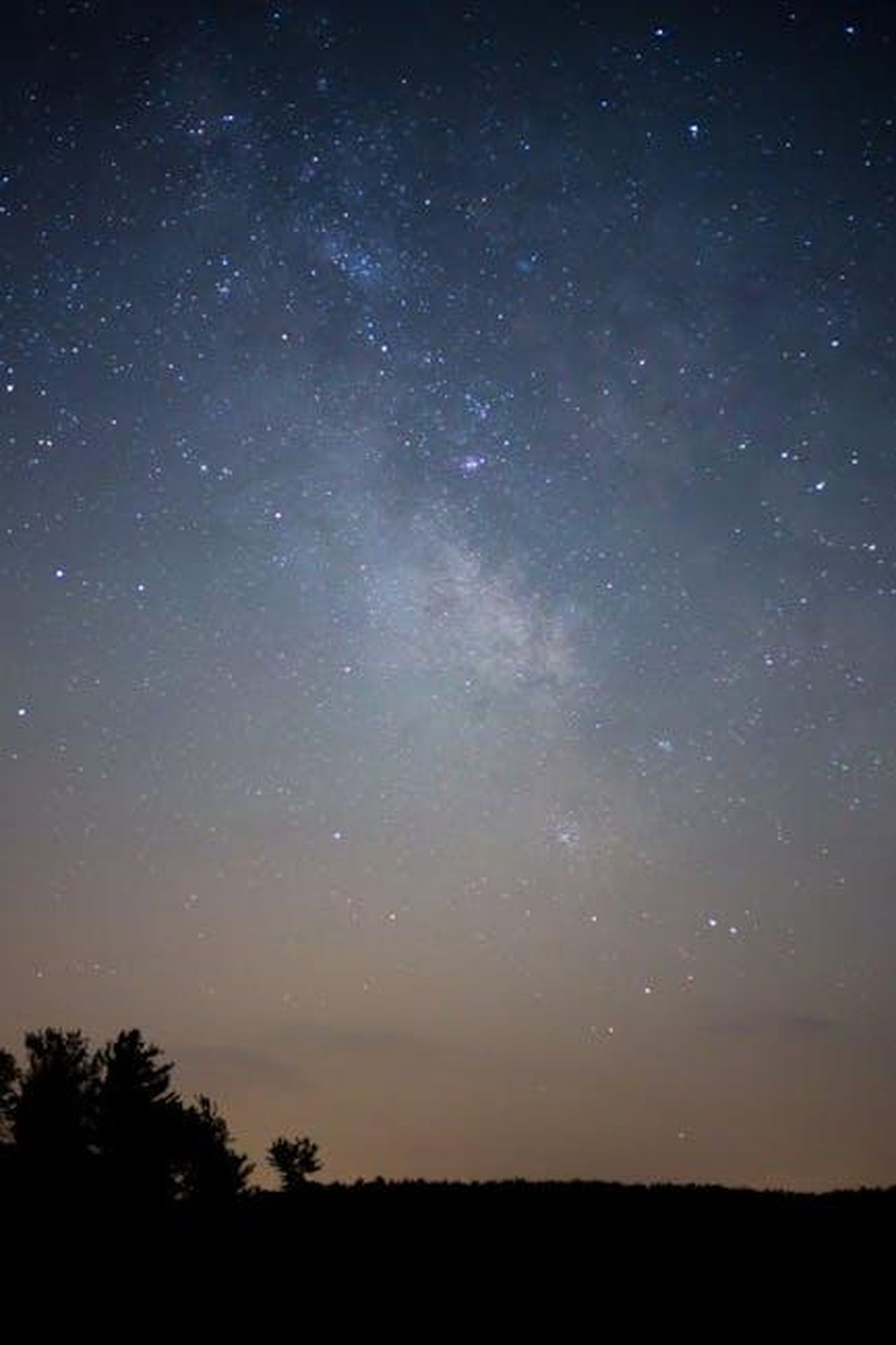 Sagittario__Voglia_di_avventura_aPZUHF9STi - Confidenze24 Source: Free Nature Stock - pexels - A stunning view of the starry night sky featuring the Milky Way and a forest silhouette.