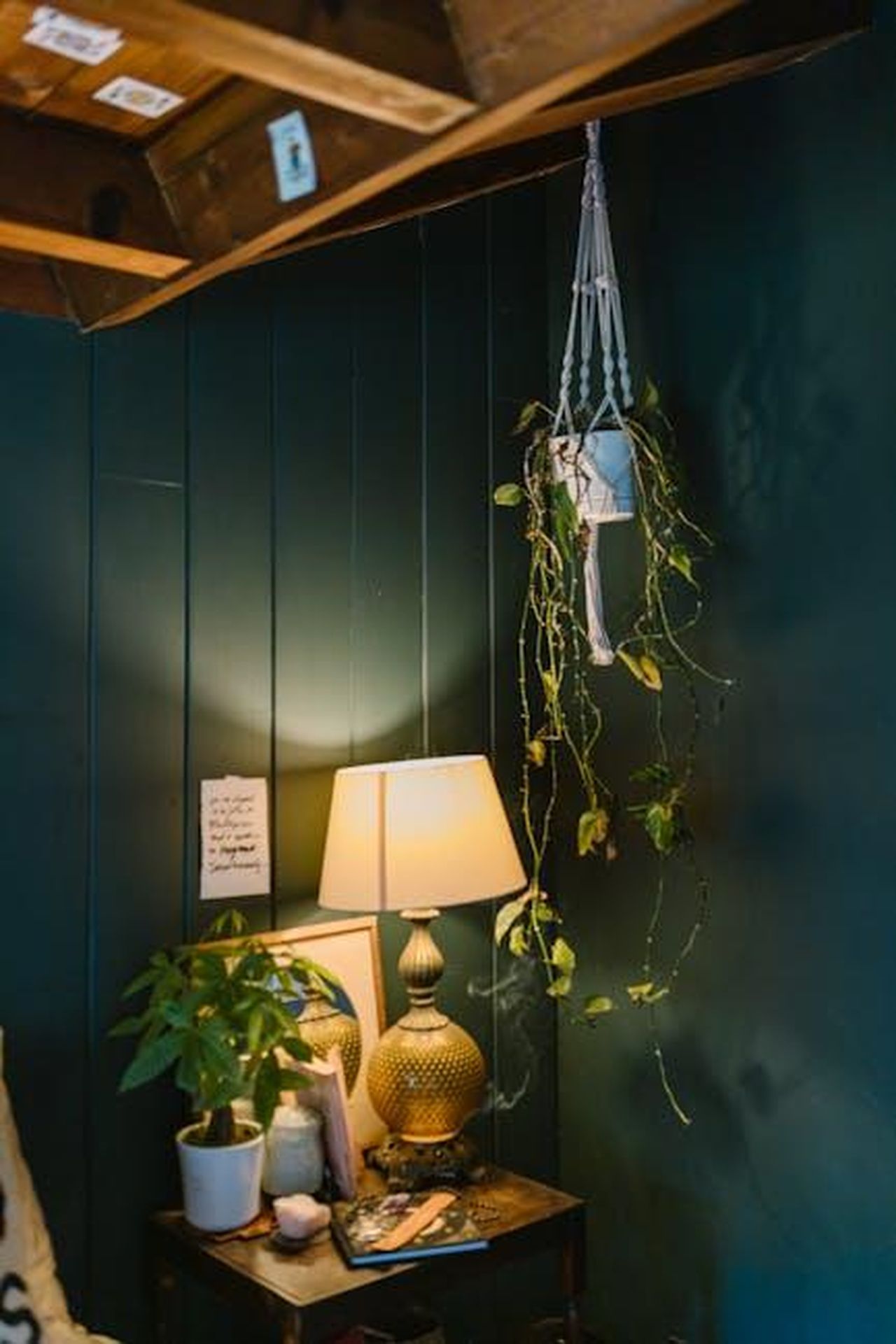 Scorpione_sfera_sentimentale_stabile_LJBTpSucnS - Confidenze24 Source: RDNE Stock project - pexels - A warm, inviting indoor space featuring a lamp and hanging plants, perfect for relaxation.