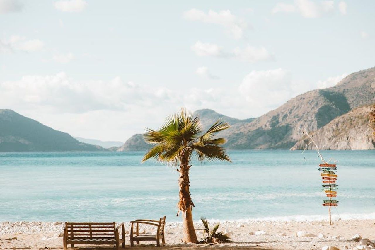 Segni_di_Acqua_Cancro_Scorpione_Pesci_Gq3klzQwWw - Confidenze24 Source: ROMAN ODINTSOV - pexels - Serene beach view with palm tree, benches, and mountainous backdrop under a bright sky.