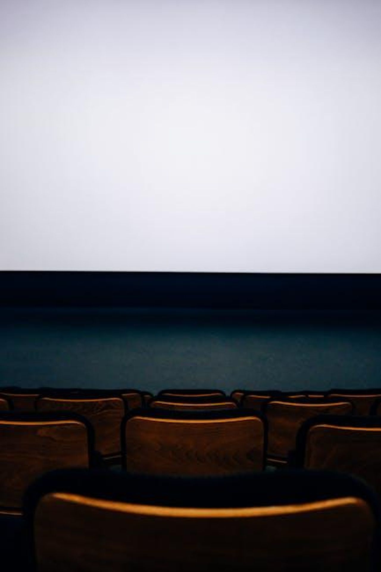 Un_concorrente_verr_eliminato_nella_diretta_del_20_febbraio_35crIQUnVF - Confidenze24 Source: Adrien Olichon - pexels - A modern, empty cinema auditorium with rows of wooden seats and a large blank screen.