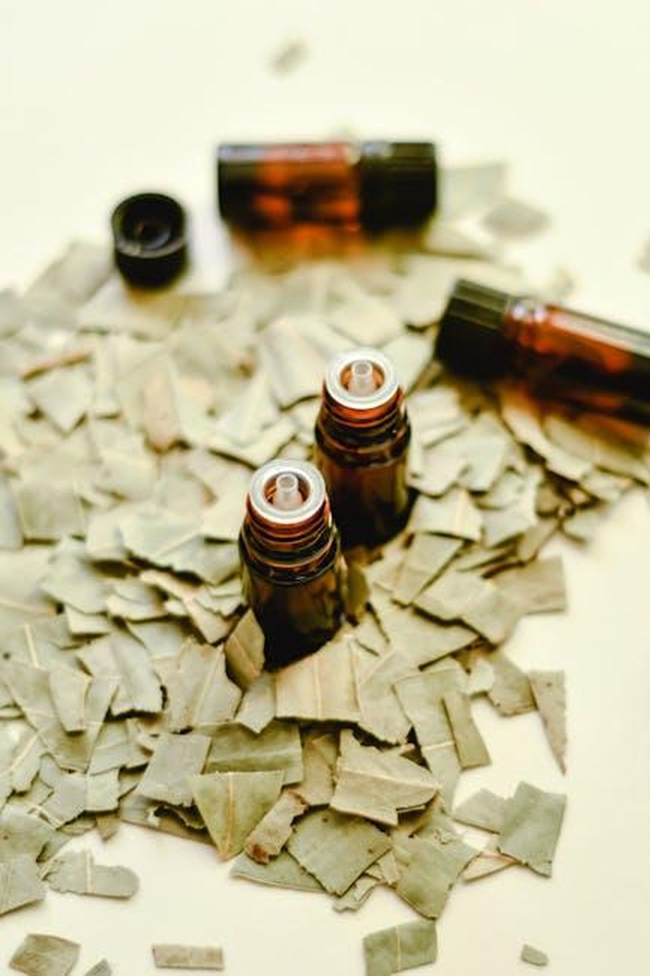 Un_riepilogo_degli_episodi_precedenti_Steffy_ha_scoperto_che_Finn_ha_rapporti_con_Sheila_Xo8xW3OSK0 - Confidenze24 Source: Eva Bronzini - pexels - Close-up of essential oil bottles surrounded by dried leaves.