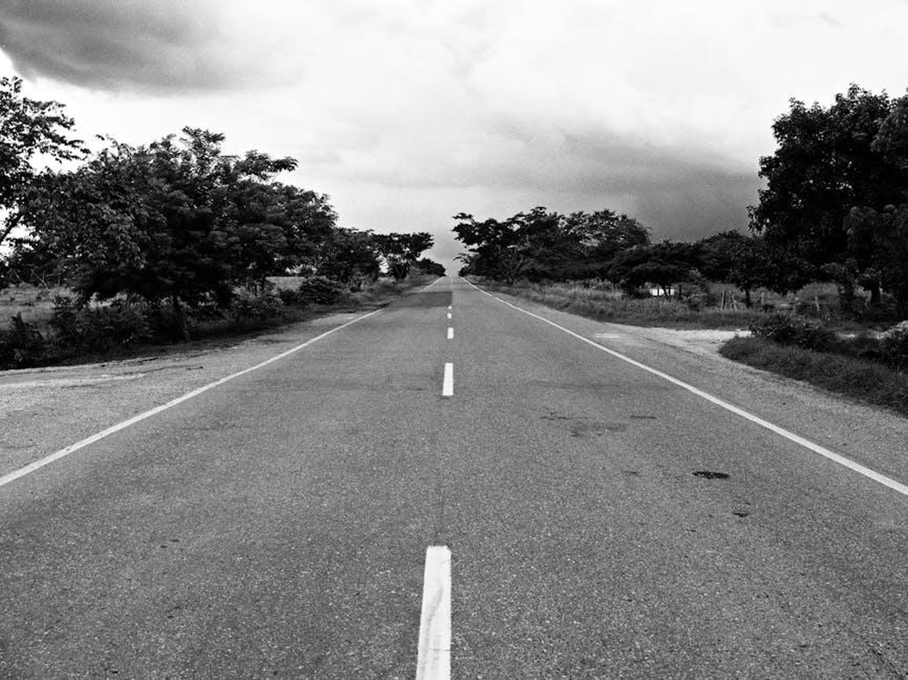 Vergine_Incertezza_e_pressione_rYPe6hmFlx - Confidenze24 Source: Airam Vargas - pexels - Black and white photo of a long, straight road lined with trees under a cloudy sky.
