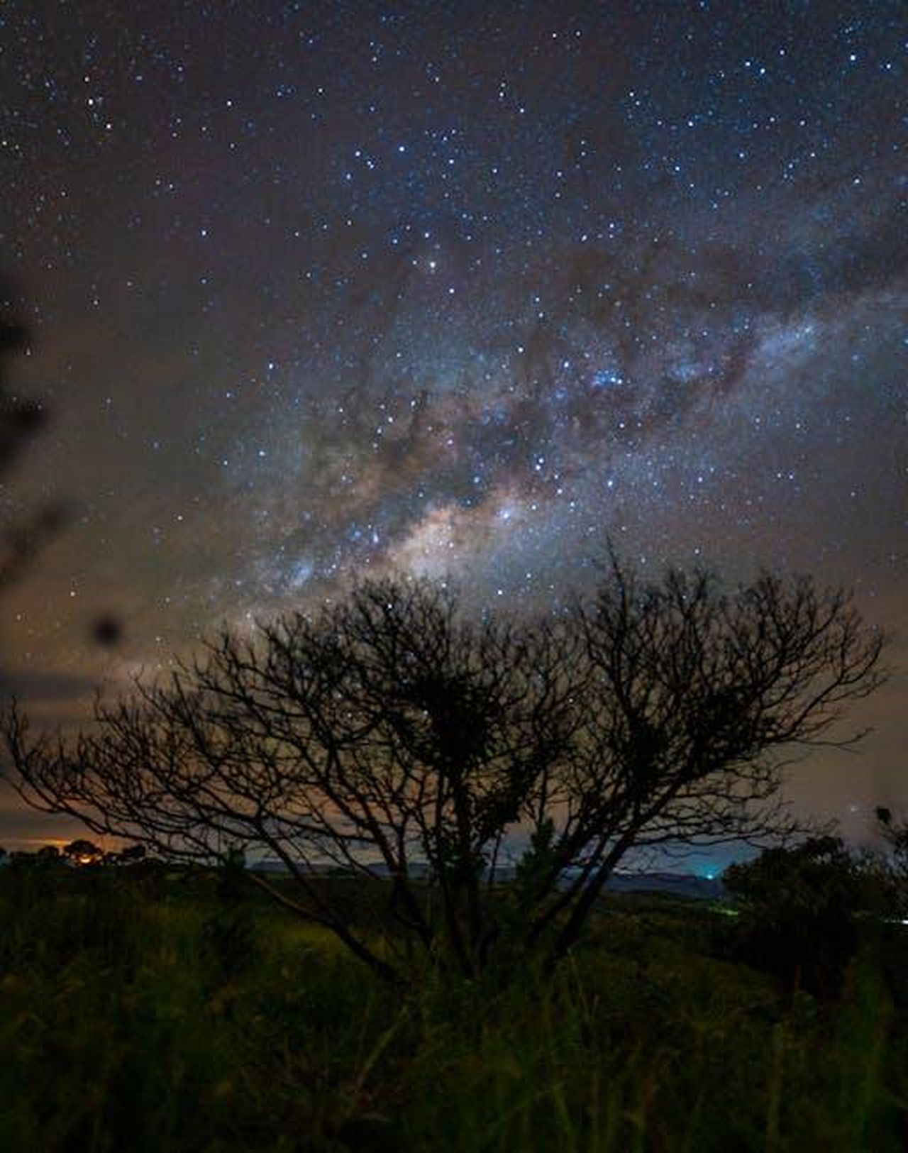 Vergine__Analisi_delle_relazioni_rMhvTfOokh - Confidenze24 Source: Nando Paz - pexels - Captivating star-filled sky view with silhouetted trees in Goiânia, Brazil, perfect for stargazing enthusiasts.