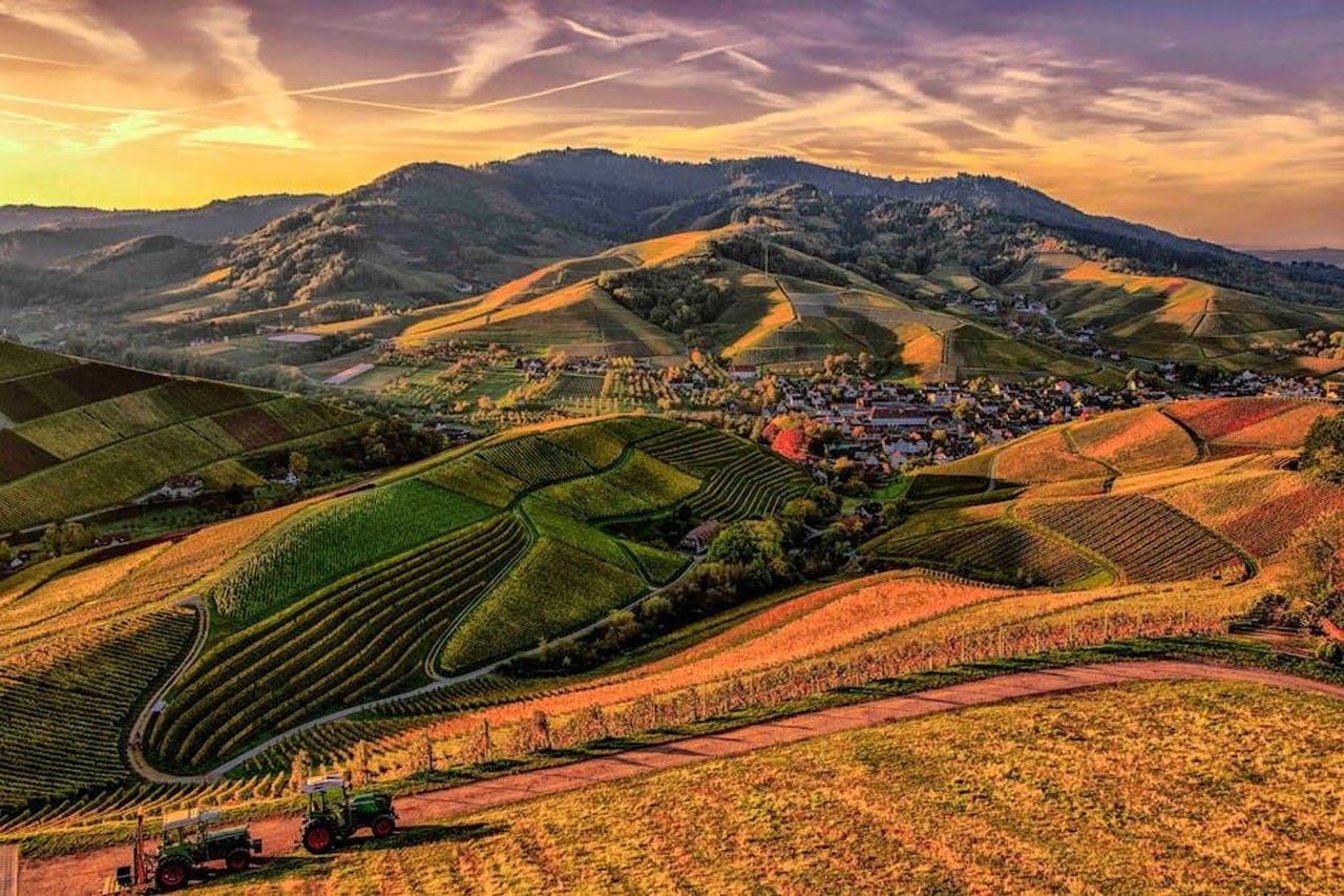 Vick_ha_un_legame_genuino_con_la_campagna_MdHekWgfmR - Confidenze24 Source: Christian Heitz - pexels - Scenic view of rolling hills, vineyards, and tractors at sunset, perfect for nature lovers.