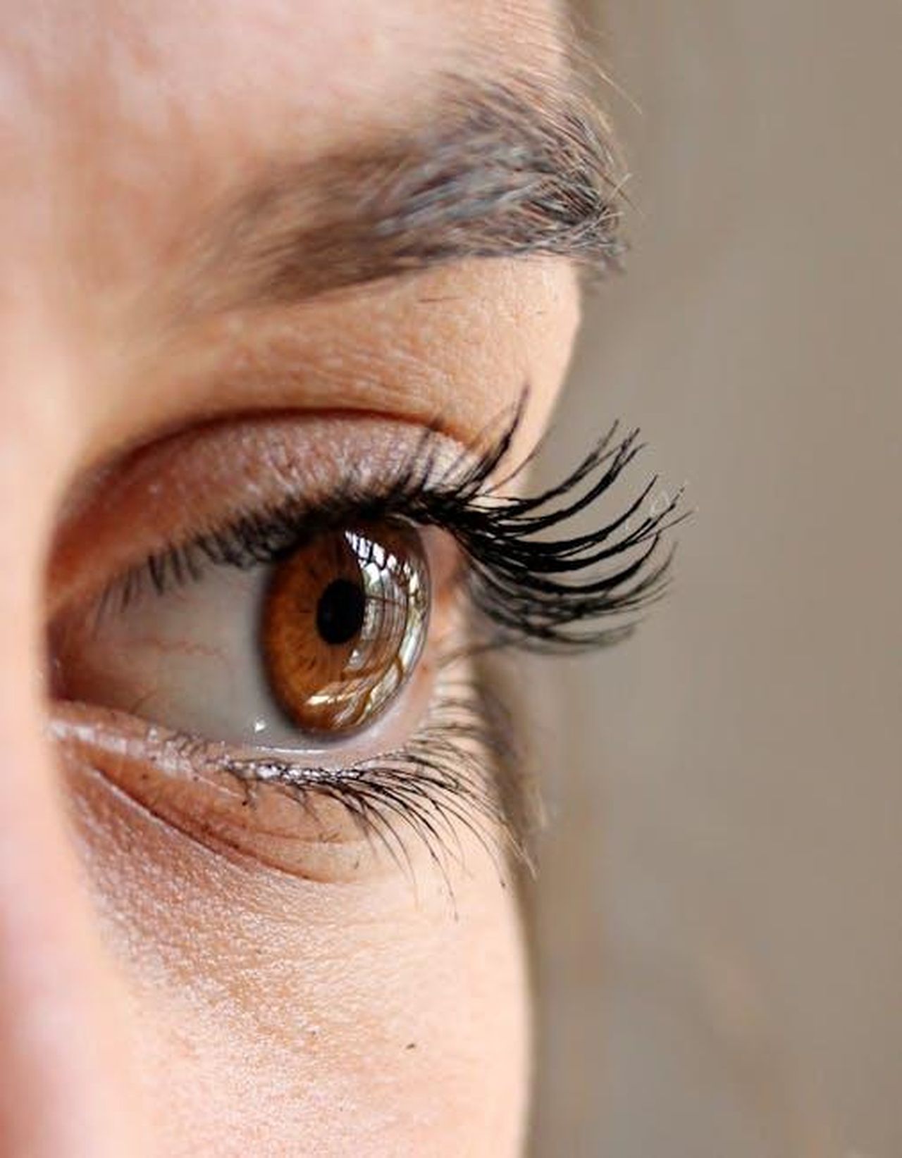 1_Il_tuo_clitoride__molto_pi_grande_di_quanto_pensi_qIi9xfcrb0 - Confidenze24 Source: Pixabay - pexels - Detailed photo showing a brown eye with long eyelashes and eyebrow.