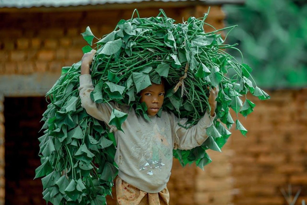 1_Parla_positivamente_delle_famiglie_non_nucleari_davanti_ai_tuoi_figli_4aScDc9YWg - Confidenze24 Source: Chris wade NTEZICIMPA - pexels - A child carries a bundle of green leaves against brick background, depicting rural life.