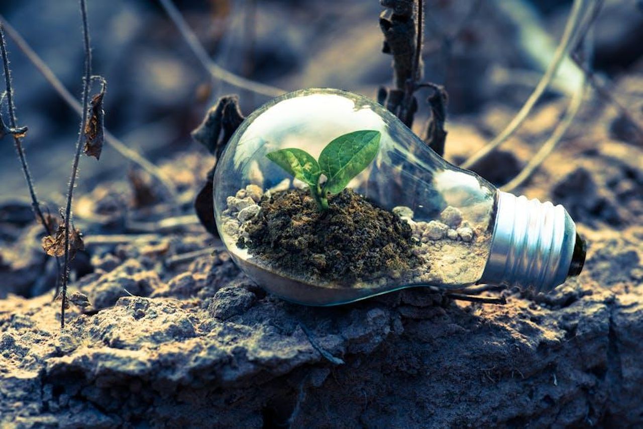 Affronta_un_tema_che_gli_interessa_la_crescita_WPAgXXbhiV - Confidenze24 Source: Singkham - pexels - A small plant sprouts in soil inside a light bulb, symbolizing eco-friendly and sustainable growth.
