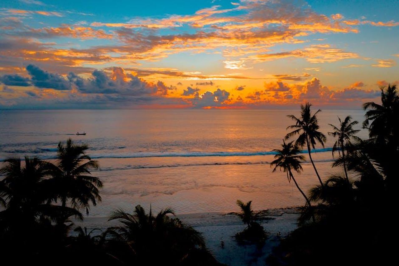 Big_Sean_Celebra_il_Decimo_Anniversario_di_Dark_Sky_Paradise_22GOtpueRV - Confidenze24 Source: Asad Photo Maldives - pexels - A stunning tropical sunset over a tranquil ocean with silhouetted palm trees.