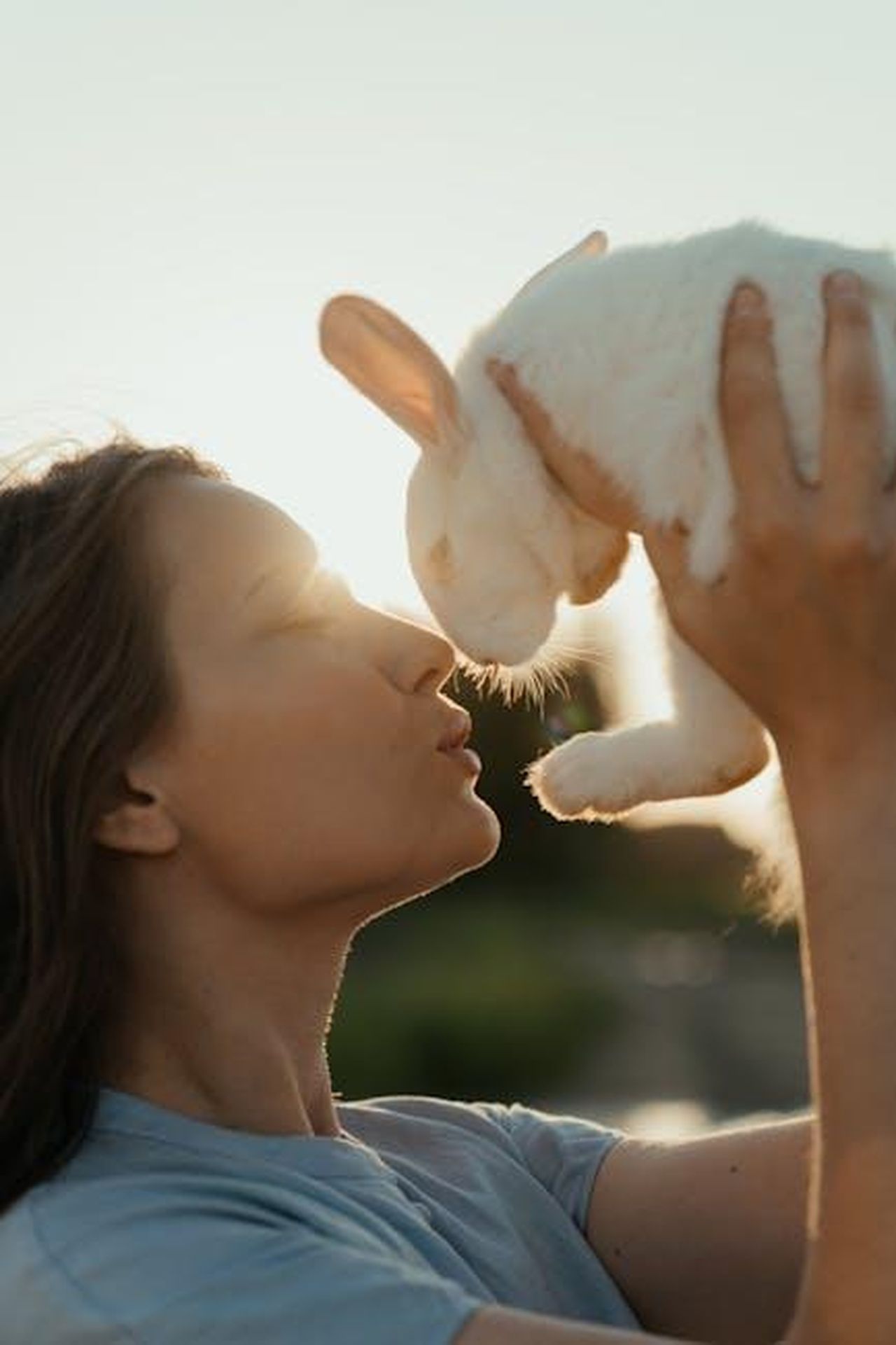 Chi__Alice_Haig_la_nuova_Vicki_Fowler_nZt4sIHRhG - Confidenze24 Source: cottonbro studio - pexels - A woman lovingly kisses a white rabbit outdoors in the warm sunset light.