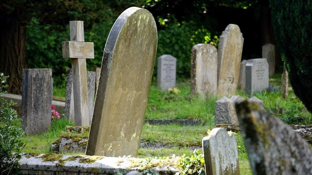 Coleen_Nolan_vittima_di_trolling_dopo_il_funerale_mWFDPYBulf - Confidenze24 Source: Mike Bird - pexels - Weathered tombstones in a tranquil cemetery surrounded by greenery.