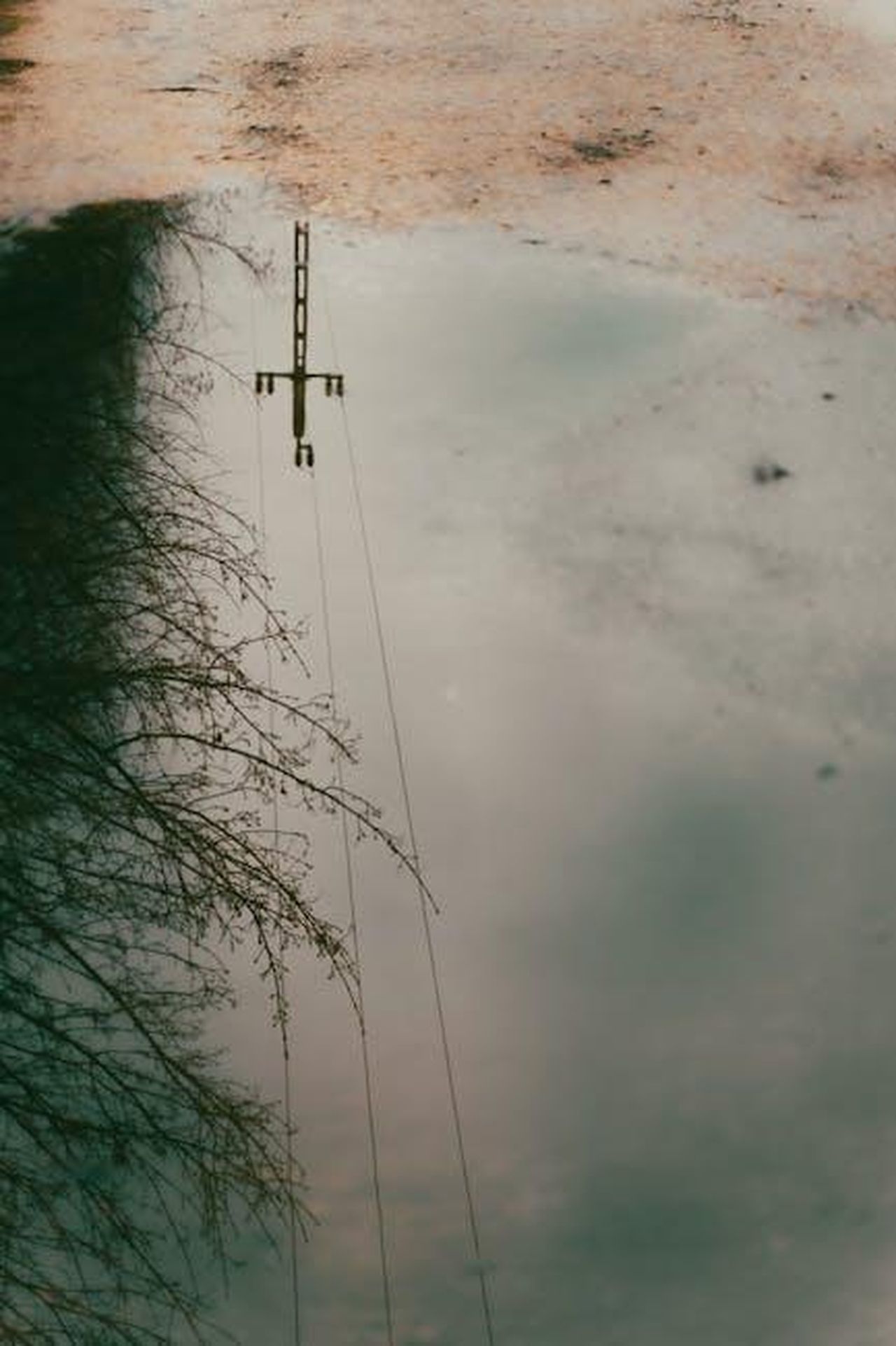 Come_si_diffonde_la_tubercolosi_avZRJlByhi - Confidenze24 Source: Kelemen Boldizsár - pexels - Urban Reflections in a Puddle