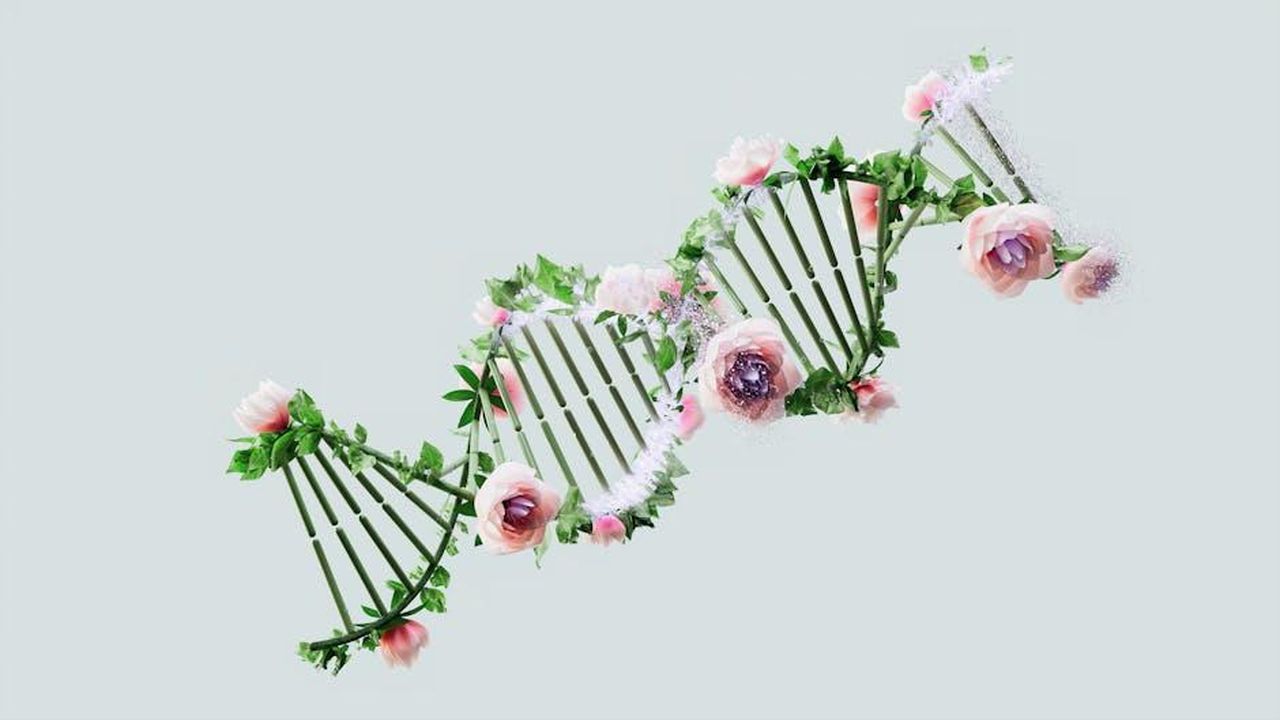 Cosa_causa_la_sindrome_del_gemello_scomparso_tNg7sfKFd4 - Confidenze24 Source: Google DeepMind - pexels - Artistic representation of a DNA helix intertwined with flowers and green leaves.