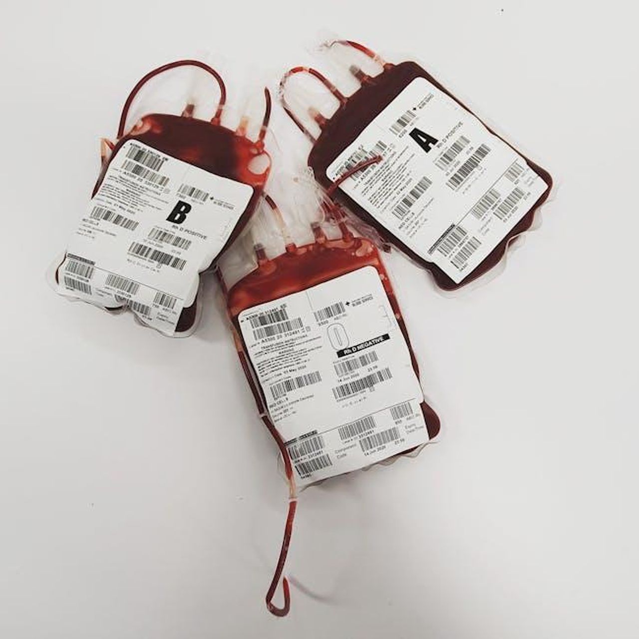 Critiche_a_Harry_e_Sentebale_ueXYHLB7lz - Confidenze24 Source: Charlie-Helen Robinson - pexels - Blood bags labeled A, B, and O for donation and transfusion use.
