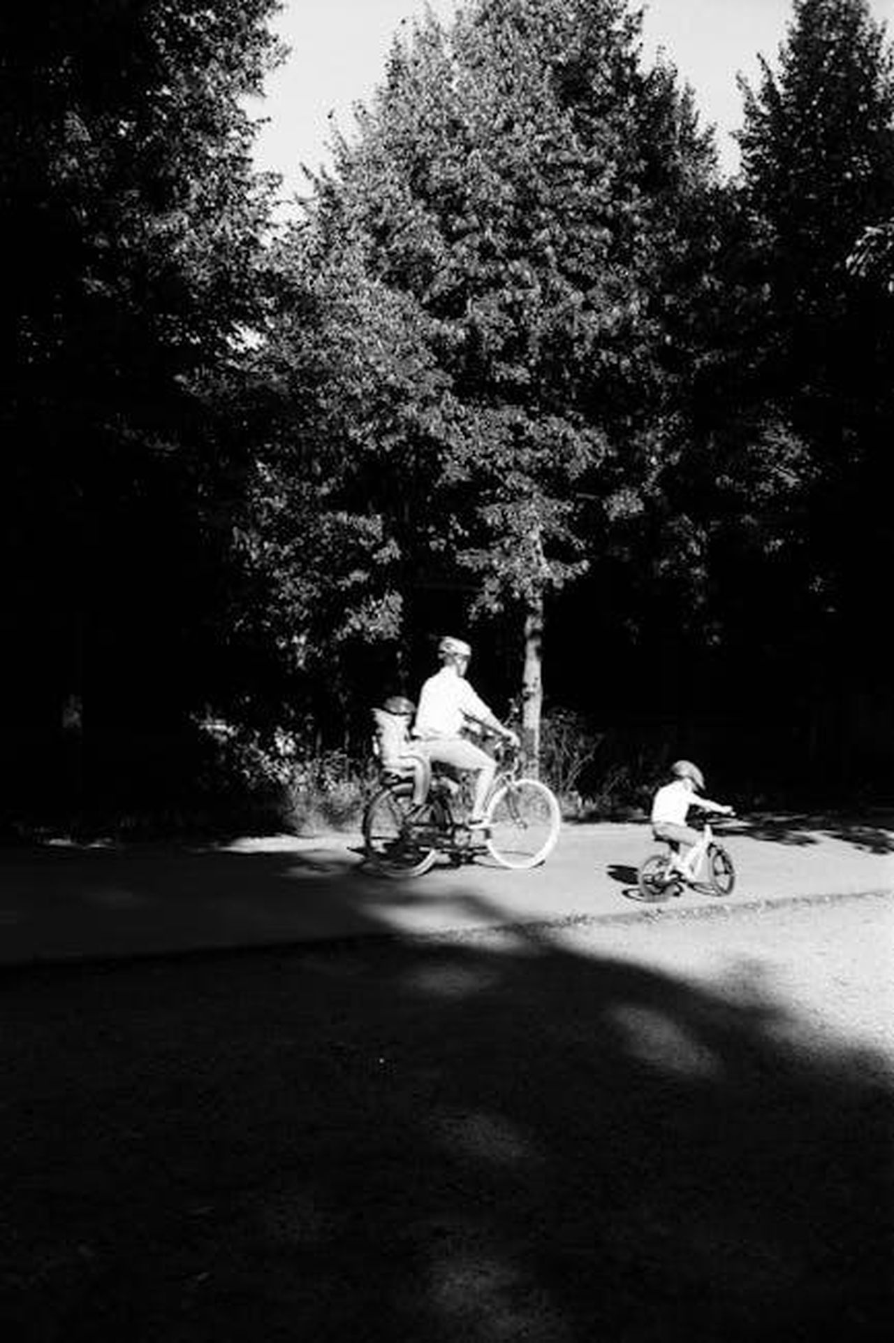 DDG_Condivide_le_Sue_Frustrazioni_in_Diretta_Streaming_8M48FWlOQc - Confidenze24 Source: Alexis B - pexels - A father and child cycling together in a sunlit park setting in France.