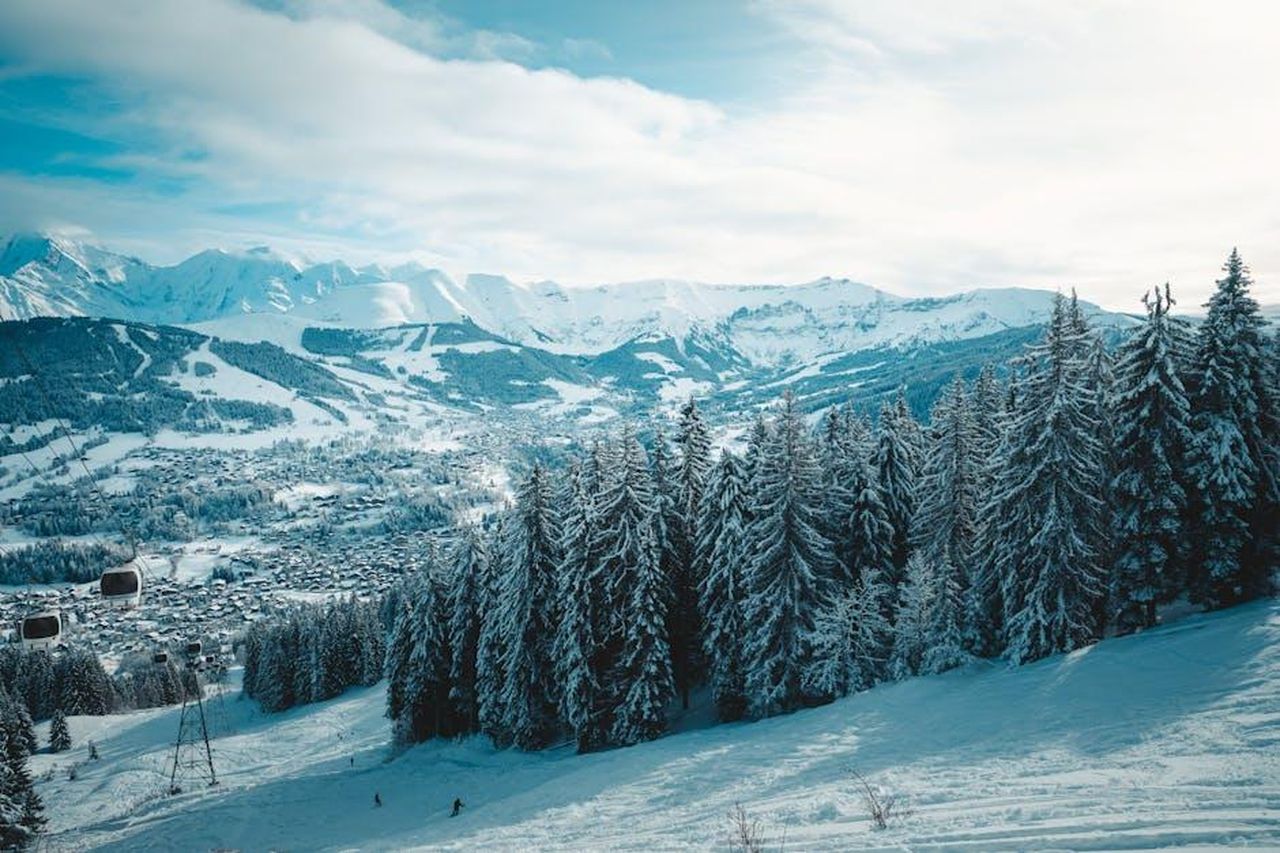 Dancing_on_Ice_2025_fans_react_to_exit_0jxAcc8kQE - Confidenze24 Source: Ryan Klaus - pexels - Breathtaking view of snow-covered trees and mountains in Megève, France, capturing winter's serene beauty.