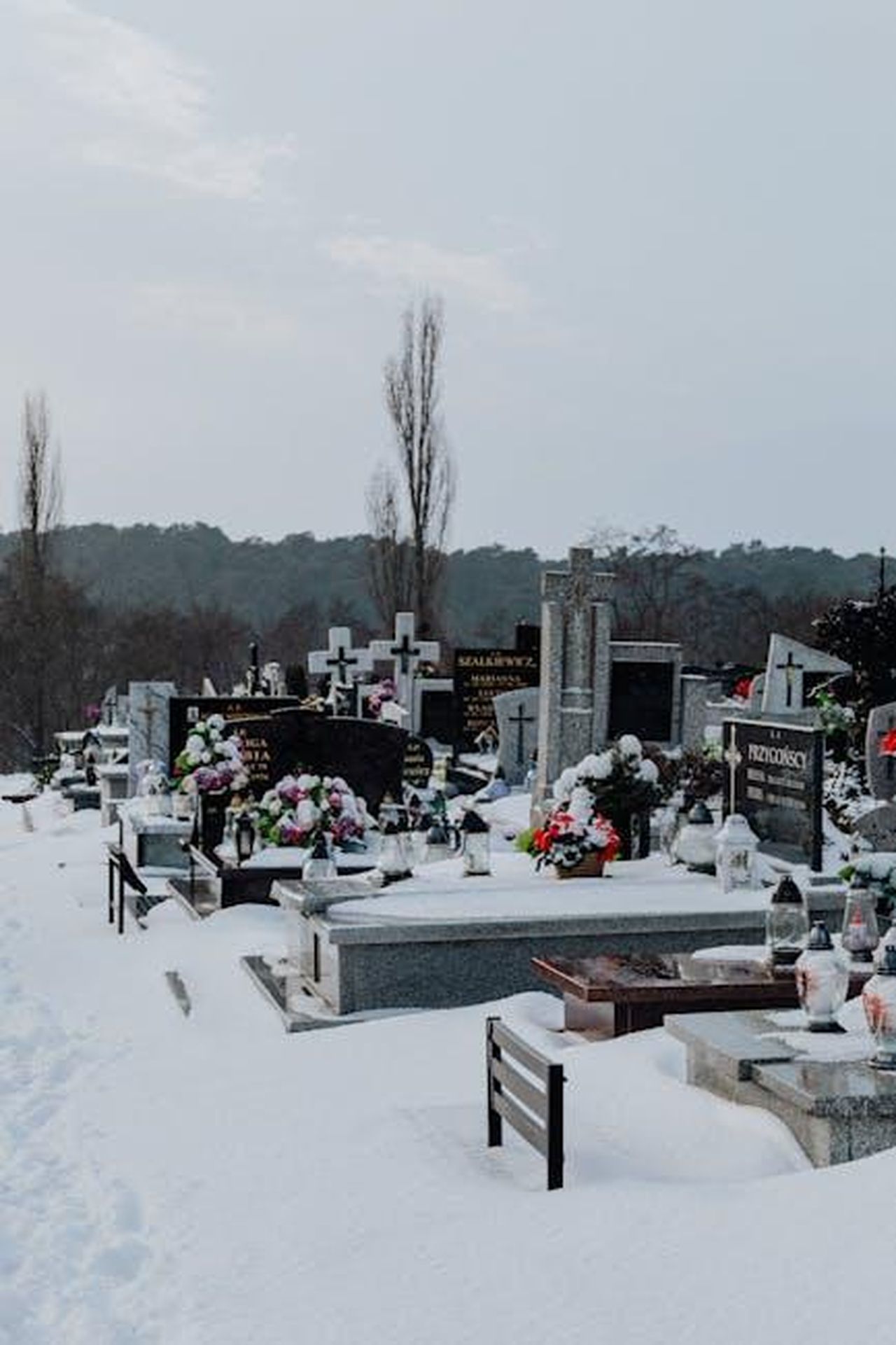 Dettagli_sul_Finale_della_Stagione_1_tIVa6bcImT - Confidenze24 Source: Photo By: Kaboompics.com - pexels - A serene winter scene of a snow-covered cemetery with tombstones and floral tributes under a soft, overcast sky.