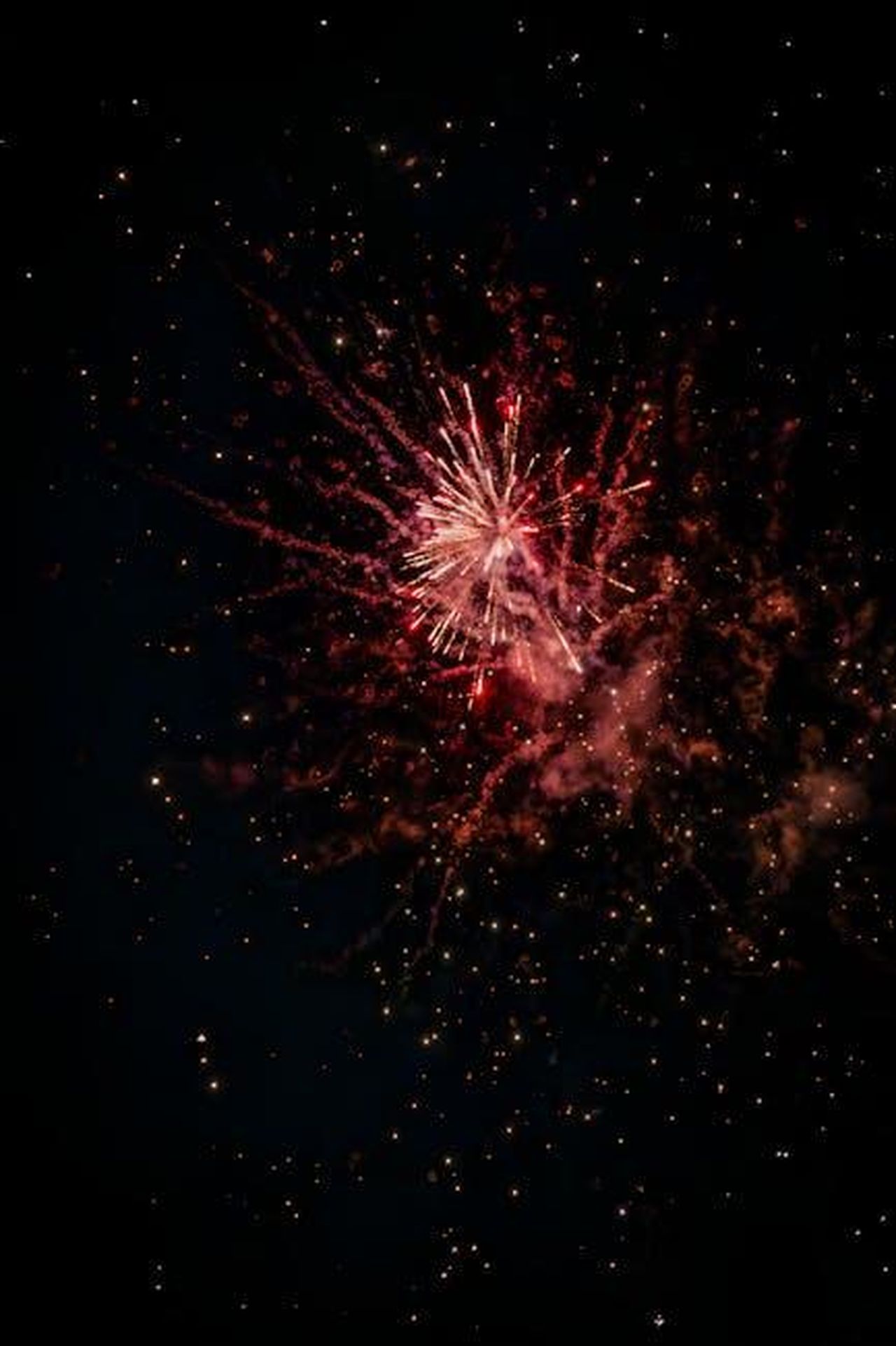 Donne_straordinarie_pronte_a_essere_abbinate_rGOZZ0CHra - Confidenze24 Source: winter visual - pexels - Colorful fireworks burst in the night sky, capturing the essence of celebration.