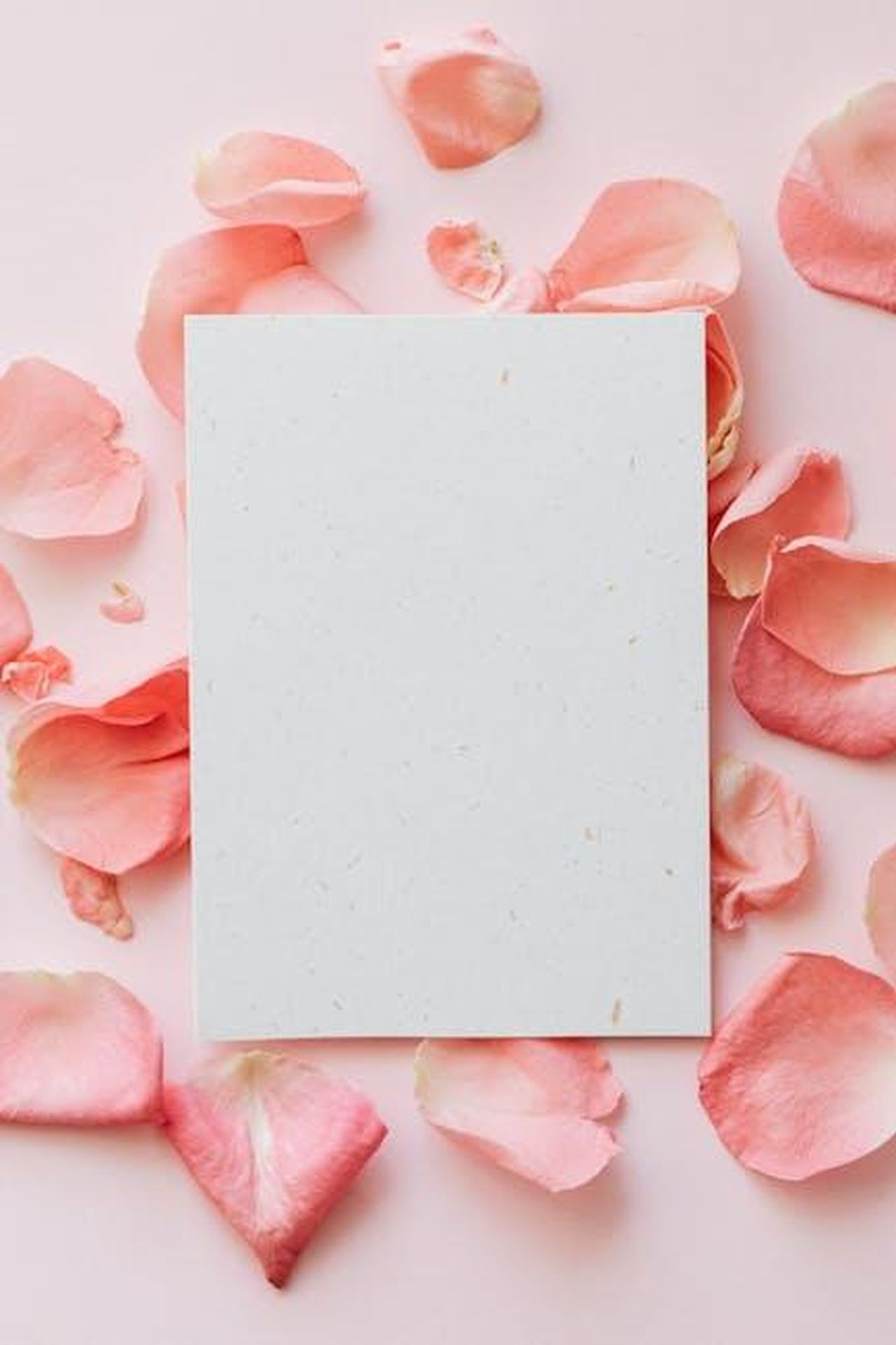 Eminem_diventa_nonno_la_rivelazione_nel_suo_video_musicale_VKrRHRCjq5 - Confidenze24 Source: Photo By: Kaboompics.com - pexels - Aesthetic arrangement of pink rose petals surrounding a blank card on a soft pink background, ideal for romantic messages.