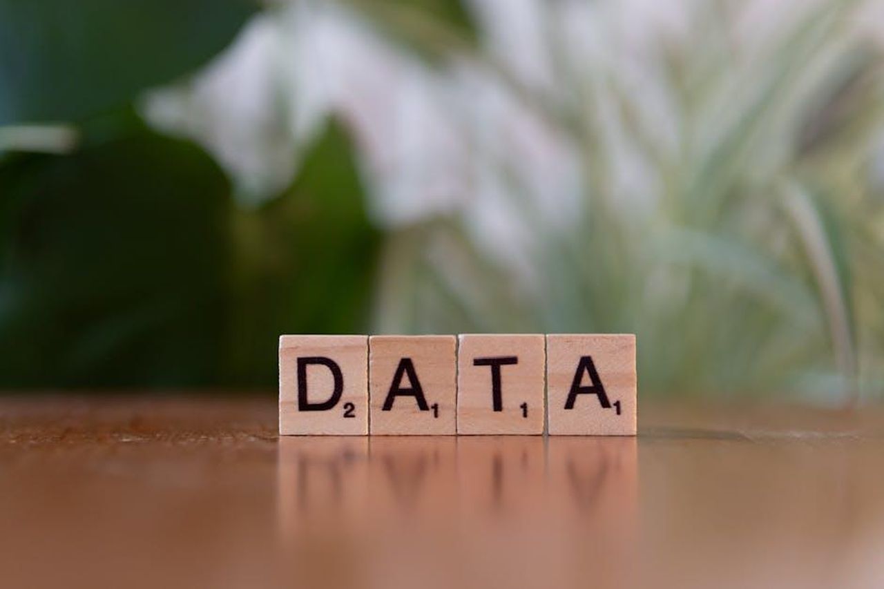 Frankel_risponde_a_un_troll_che_ha_descritto_Gabourey_Sidibe_come_senza_tetto_RNtx3owo26 - Confidenze24 Source: Markus Winkler - pexels - Free stock photo of analysis, analytics, business