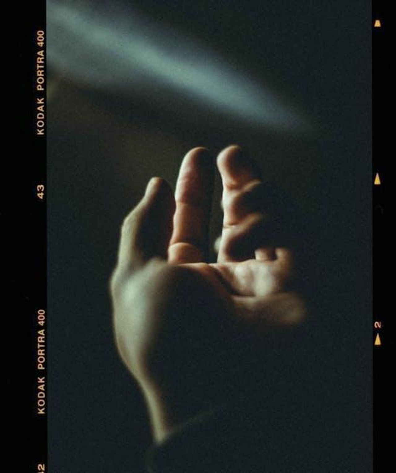 Gestures_gentili_di_Meghan_verso_il_team_gH4s7n6m75 - Confidenze24 Source: Wallace Chuck - pexels - Artistic close-up of a hand in a shadowy setting, conveying depth and contrast.