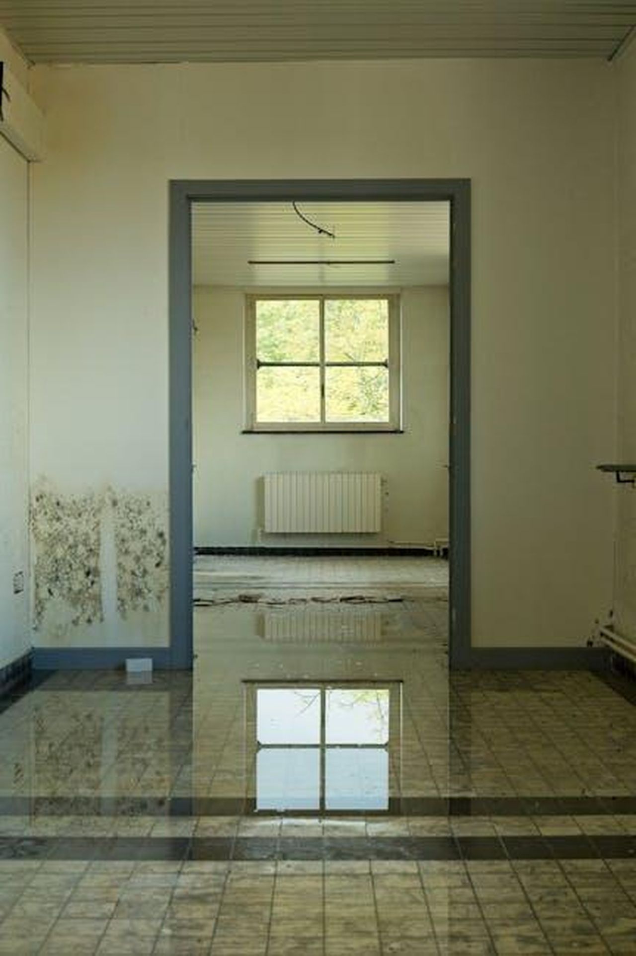 Harry_lasciato_indietro_KsY1HG07QC - Confidenze24 Source: Emmanuel Codden - pexels - An abandoned room with a flooded floor reflecting a window, highlighting decay and neglect.