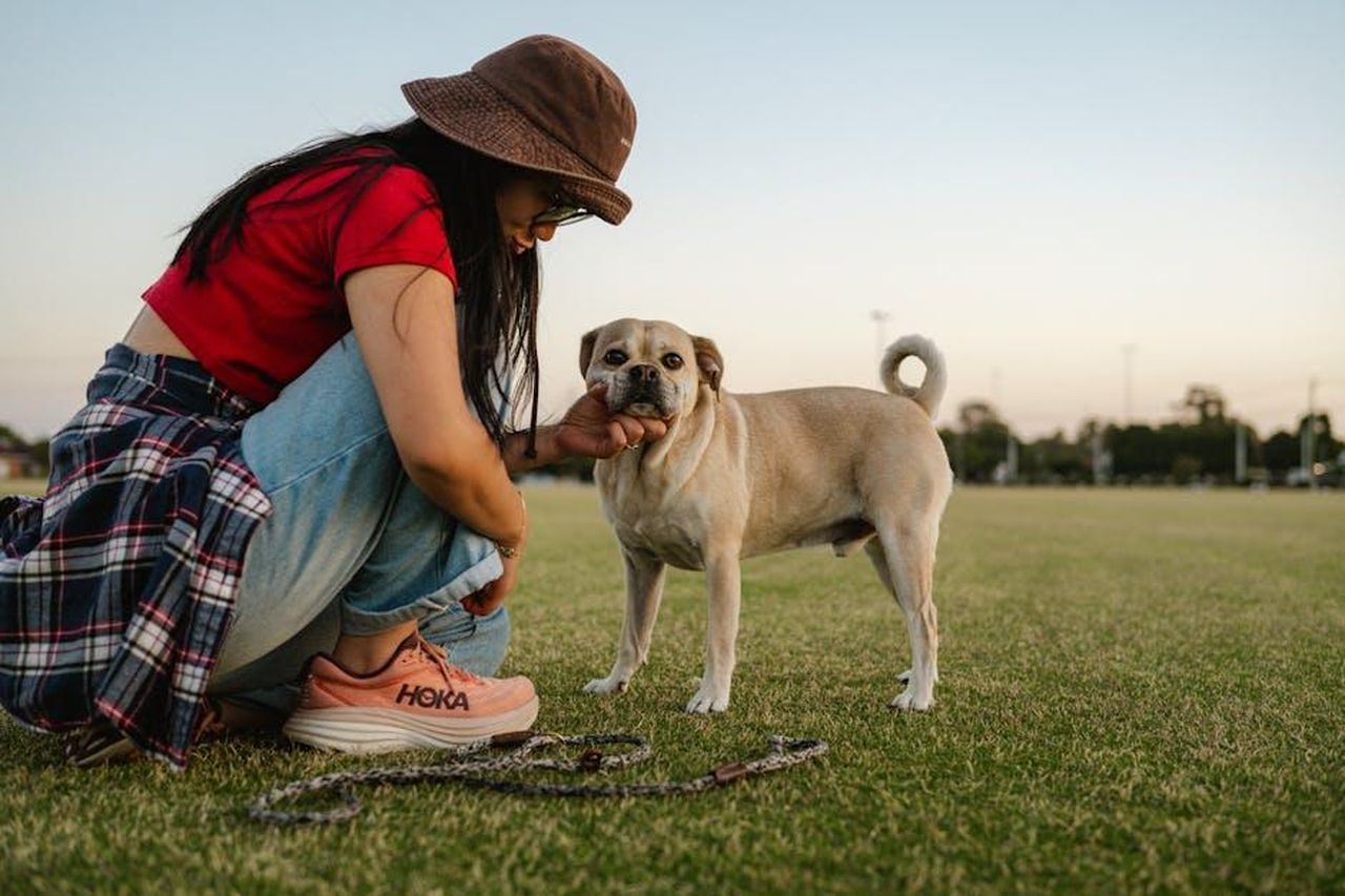 Hoka_Sneakers_il_comfort_che_cercavi_ew1SFVRSnt - Confidenze24 Source: Harry Tucker - pexels - Woman playing with puggle dog outdoors at sunset in Yarraville, Australia.