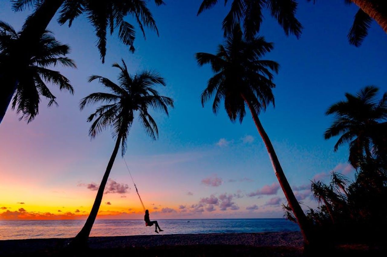 Hope_e_lex_marito_Chase_McWhorter_coinvolti_nello_scandalo_del_swinging_UY70Q5lhm4 - Confidenze24 Source: Asad Photo Maldives - pexels - A picturesque tropical sunset with a silhouetted person swinging between palm trees on the beach.