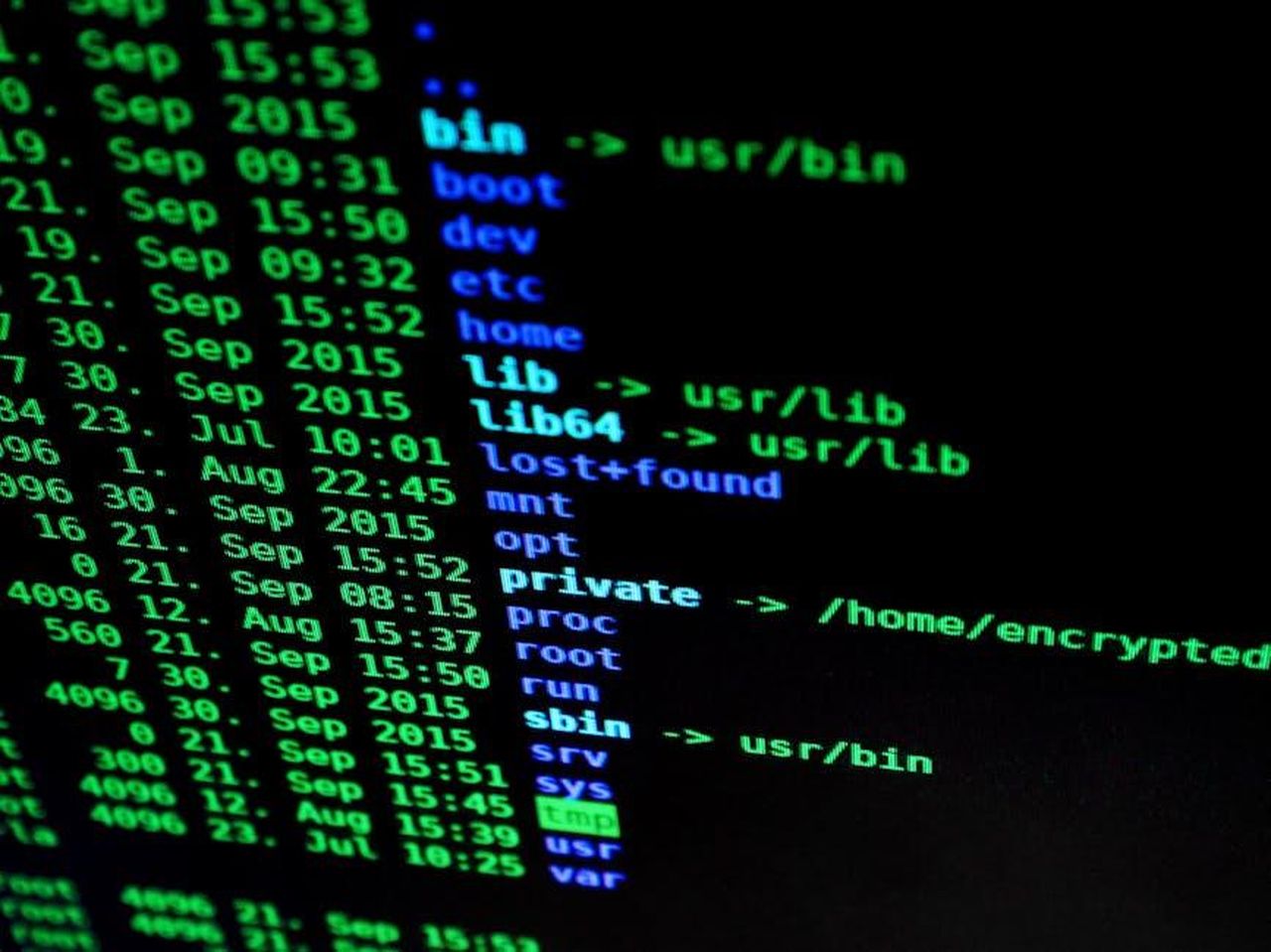 Hubbard_e_Kufe_hanno_una_relazione_privata_glq0yDGxTy - Confidenze24 Source: Pixabay - pexels - Close-up of colorful text on a computer screen, showcasing cybersecurity concepts.