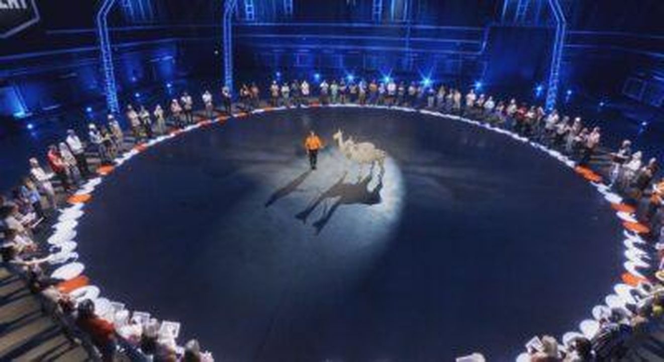 I_fan_criticano_99_to_Beat_14Apkd1FNr - Confidenze24 Source: ITV - - Due lama su 99 to Beat