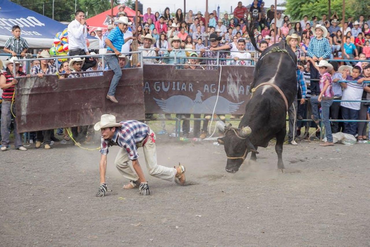 I_telespettatori_criticano_Dermot_OLeary_su_This_Morning_EhOpSdppkL - Confidenze24 Source: Becerra Govea Photo - pexels - Dynamic scene from a bull riding event with an action-packed audience view.