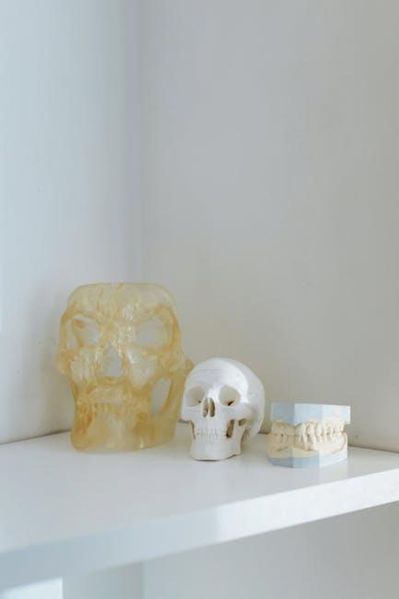Il_cast_e_i_creatori_di_The_Way_Home_hanno_anticipato_che_c_di_pi_in_arrivo_E8gru4OAUg - Confidenze24 Source: cottonbro studio - pexels - Simple display of skull models on a white shelf, emphasizing minimalism.