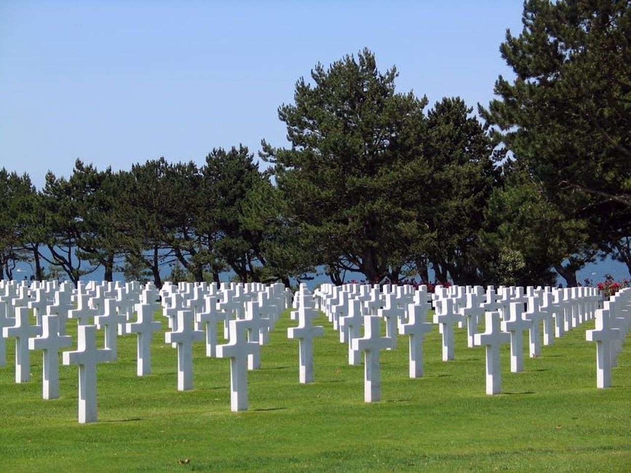 Il_funerale_di_The_Vivienne_UeUfBZQojm - Confidenze24 Source: Pixabay - pexels - Rows of white crosses in a military cemetery, symbolizing remembrance and honor.