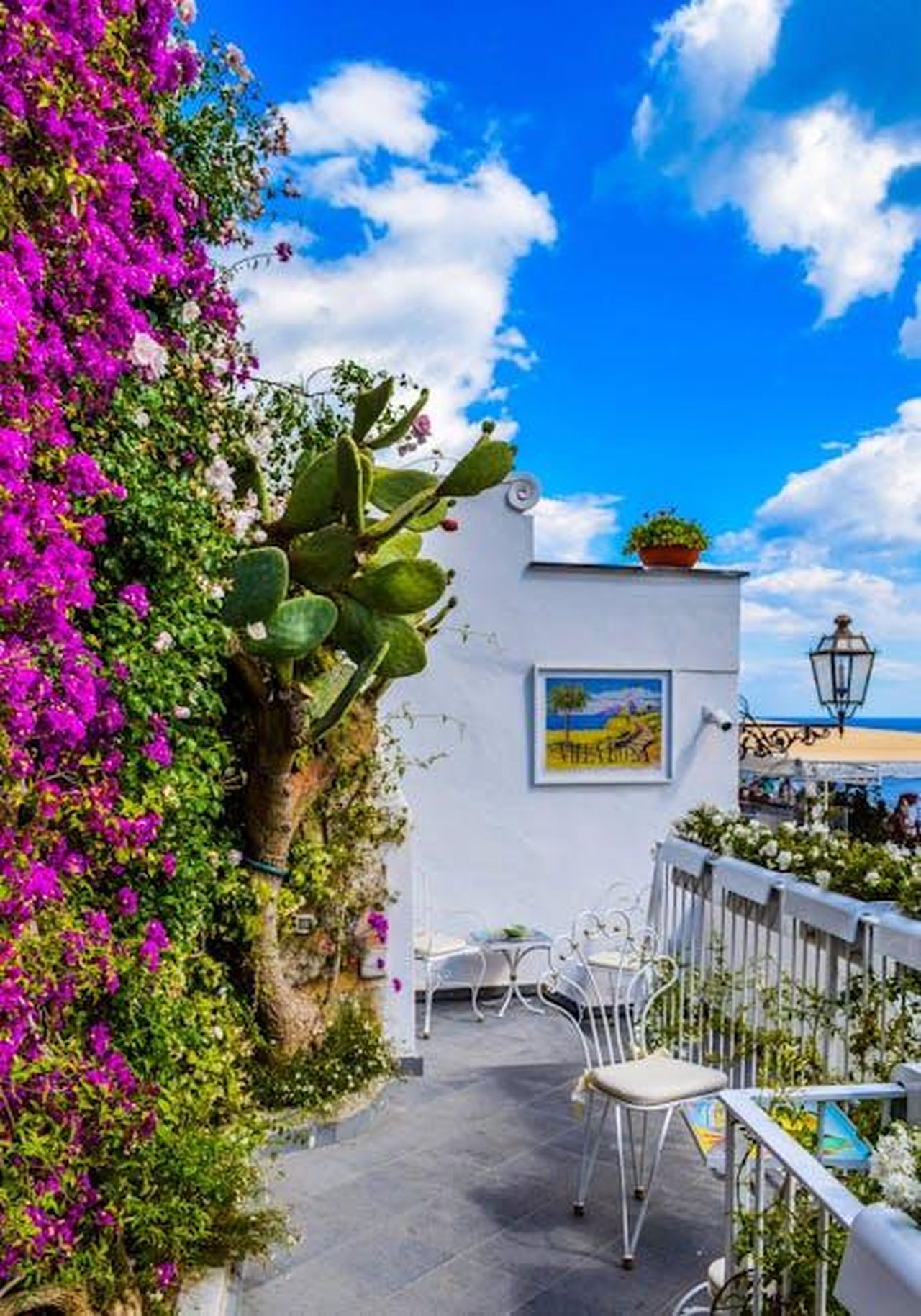 Il_giardino_di_Paddy_e_Christine_yow6WskFkp - Confidenze24 Source: Gotta Be Worth It - pexels - Charming Mediterranean balcony adorned with vibrant bougainvillea, overlooking sea.