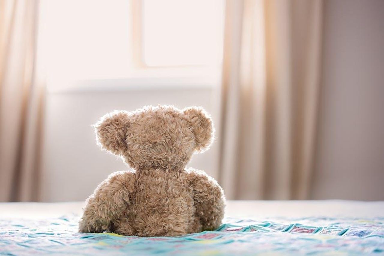 Il_legame_speciale_tra_Grace_e_il_suo_peluche_1DzsRwG0jX - Confidenze24 Source: Teresa Howes - pexels - A plush teddy bear sits on a colorful bed in a cozy bedroom, facing a window.