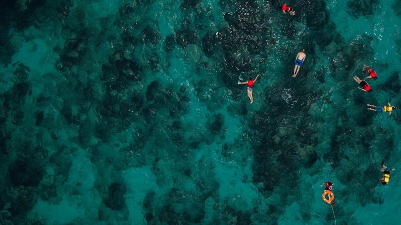 Il_primo_uscita_di_Michelle_Keegan_e_Mark_Wright_hbb12tdhkg - Confidenze24 Source: Kelly - pexels - Group of people snorkeling over vibrant coral reefs, captured from above in clear turquoise waters.