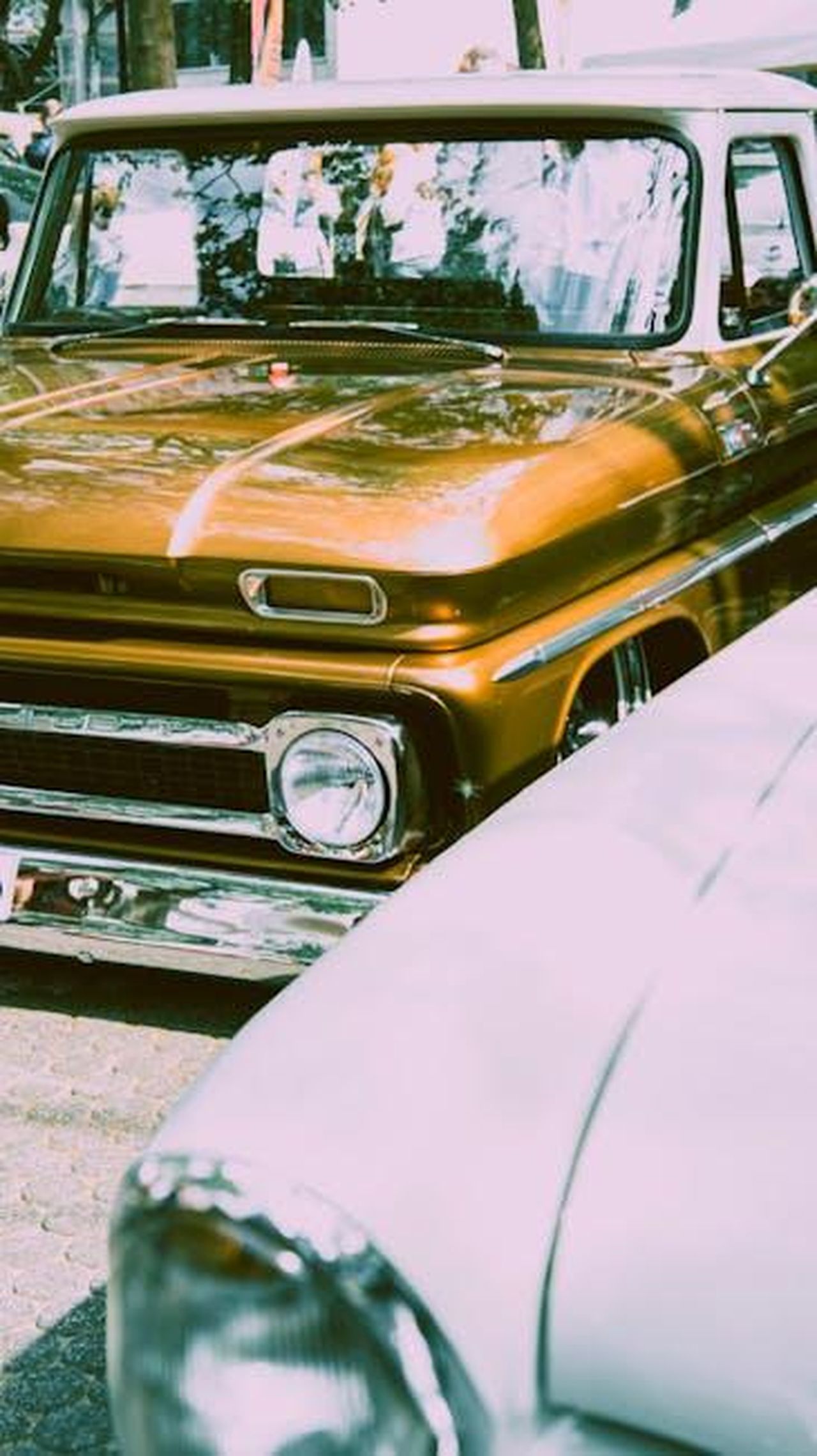 Il_ritorno_di_Ant_kKTKcXnnkF - Confidenze24 Source: Marcel Condurachi - pexels - Vintage cars in Berlin shimmer in summer sunlight, capturing a retro vibe.