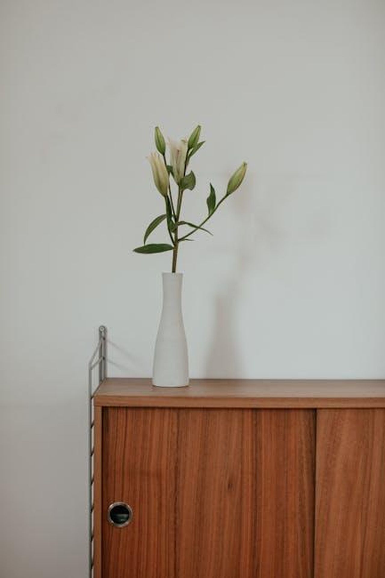 Il_talento_decorativo_di_Crew_l1lNeHNAL3 - Confidenze24 Source: Cup of Couple - pexels - Simple, elegant setup featuring a ceramic vase with white lilies on a wooden cabinet in a minimalist room.