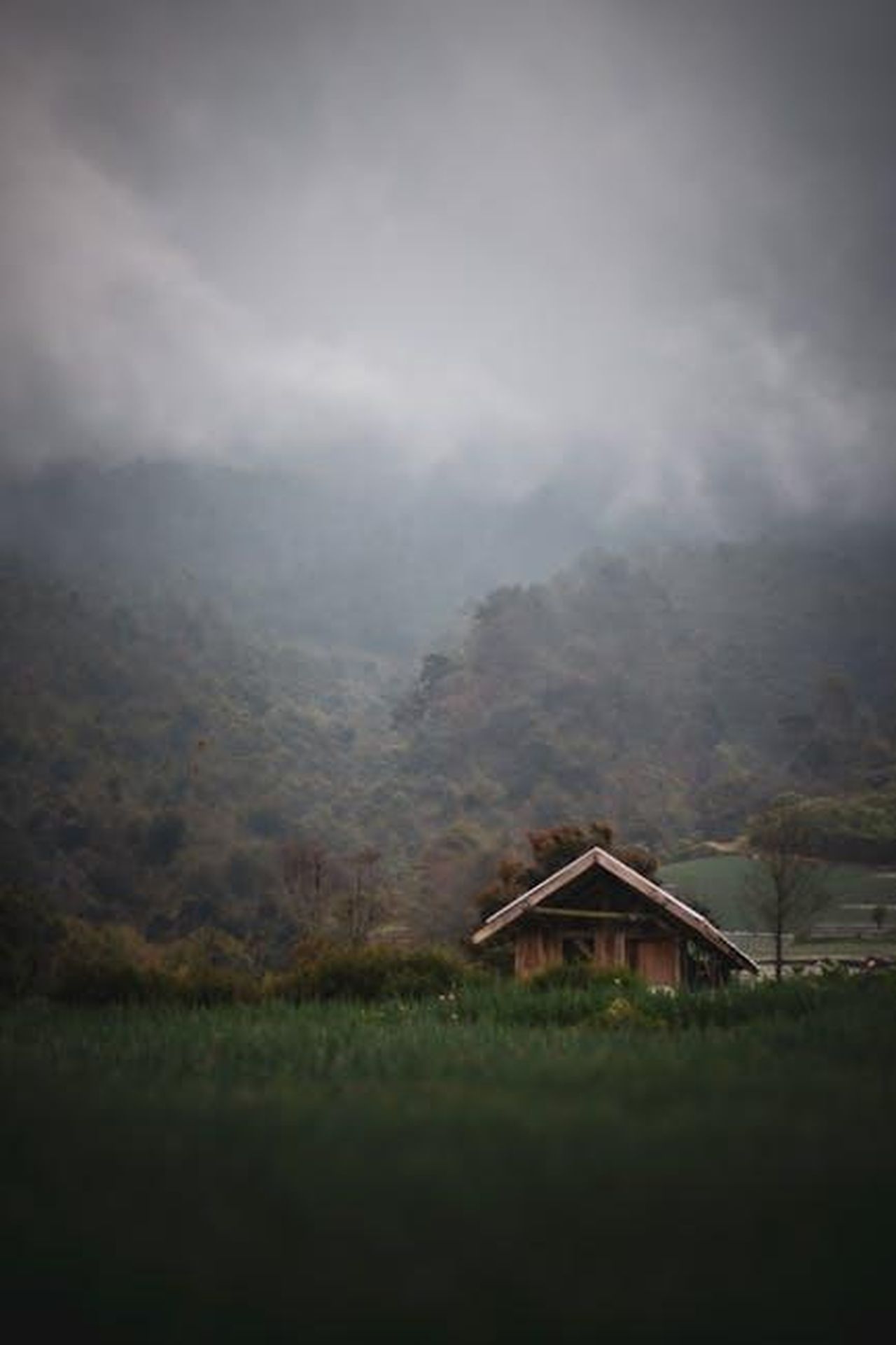 Il_trailer_di_Your_Friends__Neighbors_9EL5OKdWeD - Confidenze24 Source: Htps - pexels - A solitary cabin rests in a serene, misty mountain landscape, engulfed in fog.
