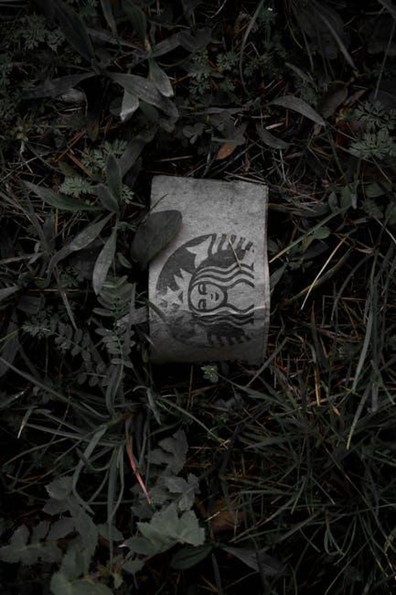 Impatto_del_marchio_Sussex_sulla_charity_5yg5Nzo6v0 - Confidenze24 Source: Abdulvahap Demir - pexels - A Starbucks cup sleeve lies on the green grass, blending with nature.