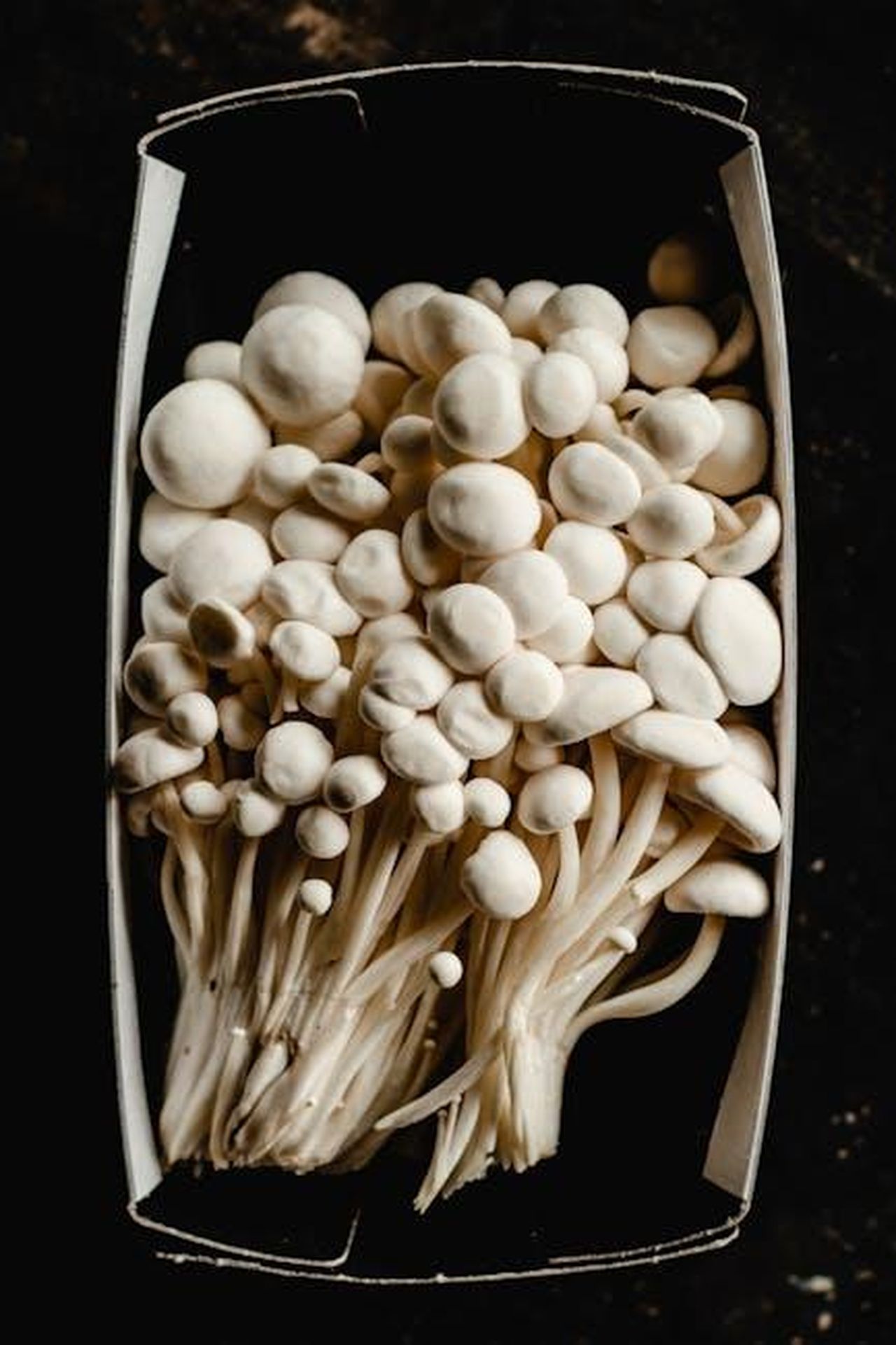 Ingredienti_e_preparazione_4Y0VtEmzdn - Confidenze24 Source: Eva Bronzini - pexels - A close-up of fresh enoki mushrooms arranged in a packaging box, highlighting their unique texture.