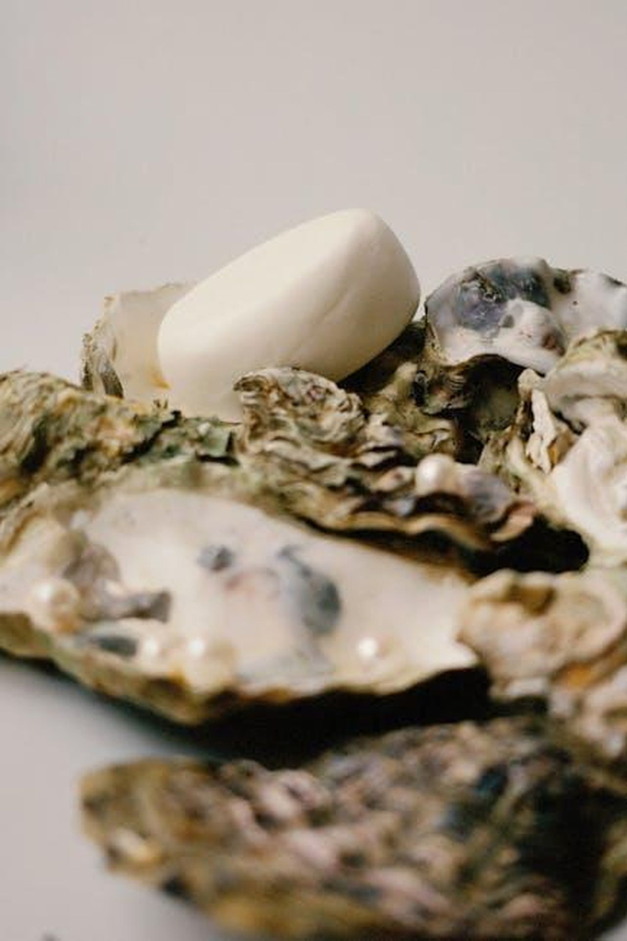 James_Bailey_torna_in_Coronation_Street_0fWnYmLdZq - Confidenze24 Source: Nastia Ligrain - pexels - A bar of soap elegantly placed on opened oyster shells, creating a rustic and clean aesthetic.