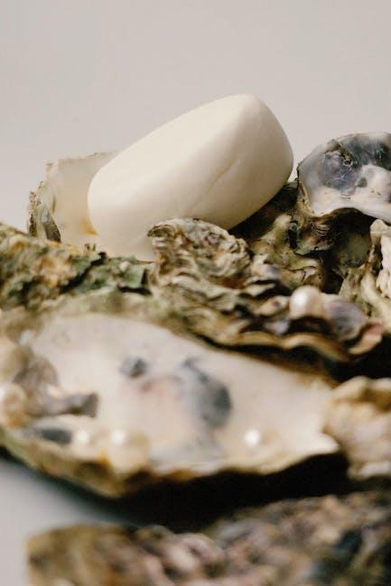 Kate_Ford_lascia_Coronation_Street_DNa9R0O3ec - Confidenze24 Source: Nastia Ligrain - pexels - Elegant arrangement of pearls and soap on oyster shells for a luxurious spa feel.
