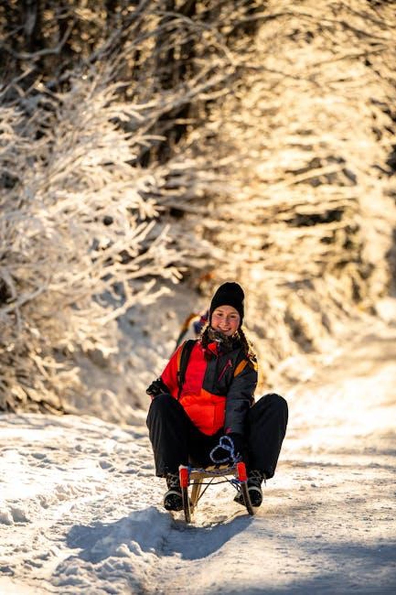 La_Risposta_di_Tamar_alla_Critica_CzAKCBv5WW - Confidenze24 Source: Matej Bizjak - pexels - Person sledding down a snowy path near Planica, Slovenia.