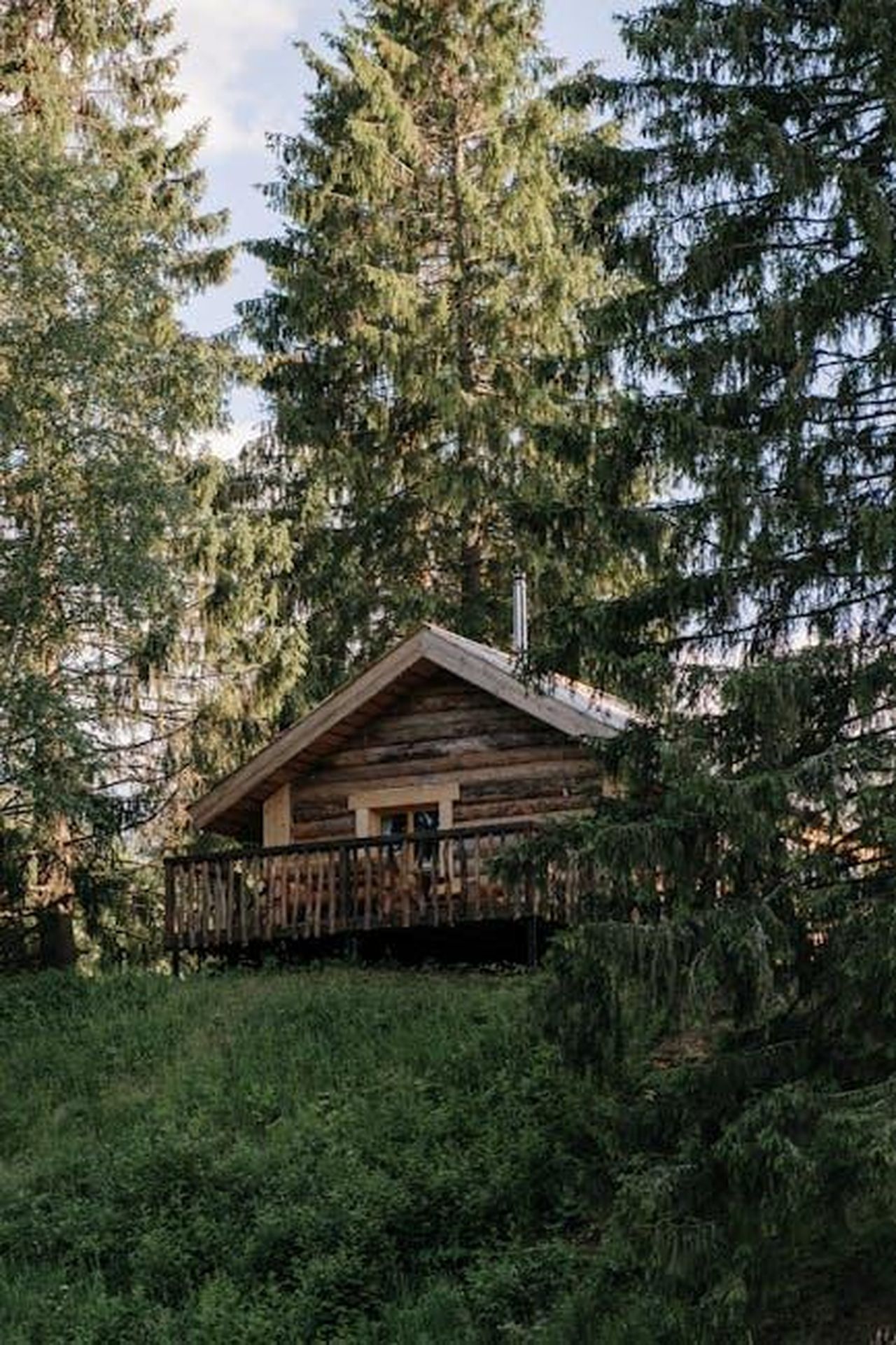 La_cabina_di_Dolly_Parton_un_rifugio_privato_dr09XtEDhj - Confidenze24 Source: cottonbro studio - pexels - A rustic wooden cabin nestled among tall pine trees in a serene forest setting, ideal for nature retreats.