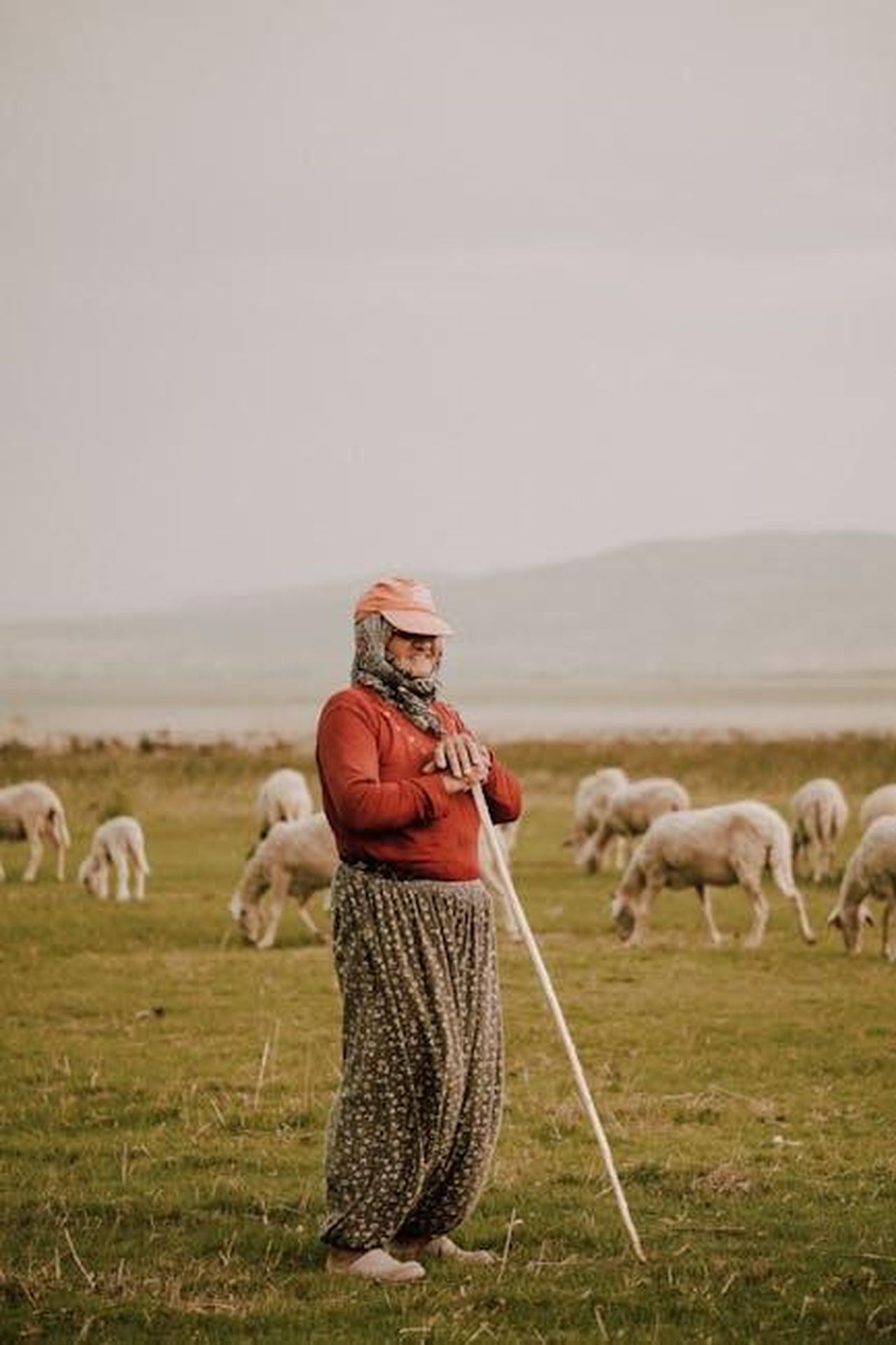 La_carriera_di_Vincent_Pastore_e_i_suoi_sogni_TZOln1WYLZ - Confidenze24 Source: ahmet öktem - pexels - A female herder tending sheep in the pastures of Köyceğiz, Türkiye.