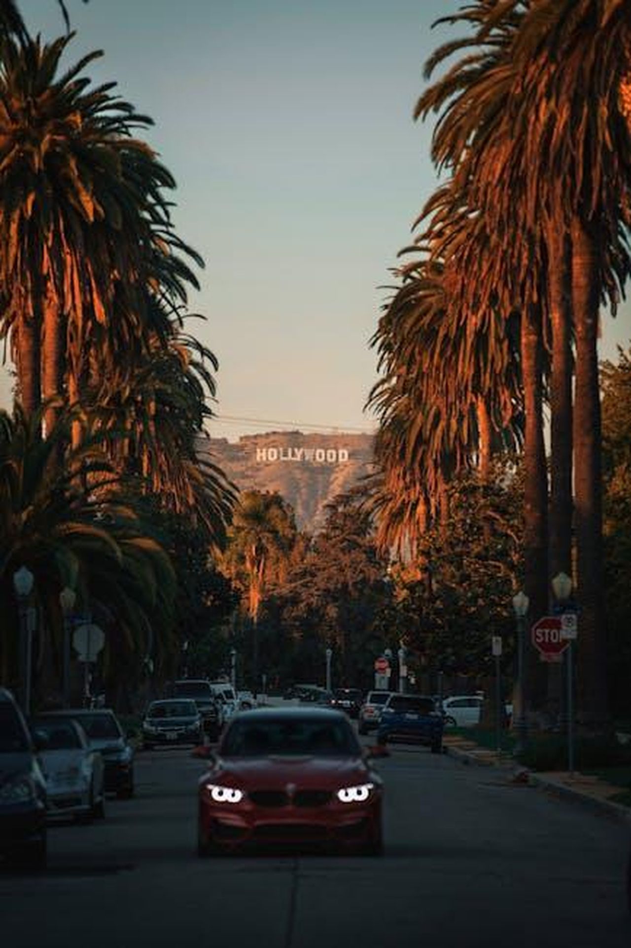 La_famiglia_di_Jimmy_Stewart_e_i_suoi_vicini_famosi_Hmp0kNGpr4 - Confidenze24 Source: Roberto Nickson - pexels - Iconic Hollywood Sign seen through palm-lined Los Angeles street.