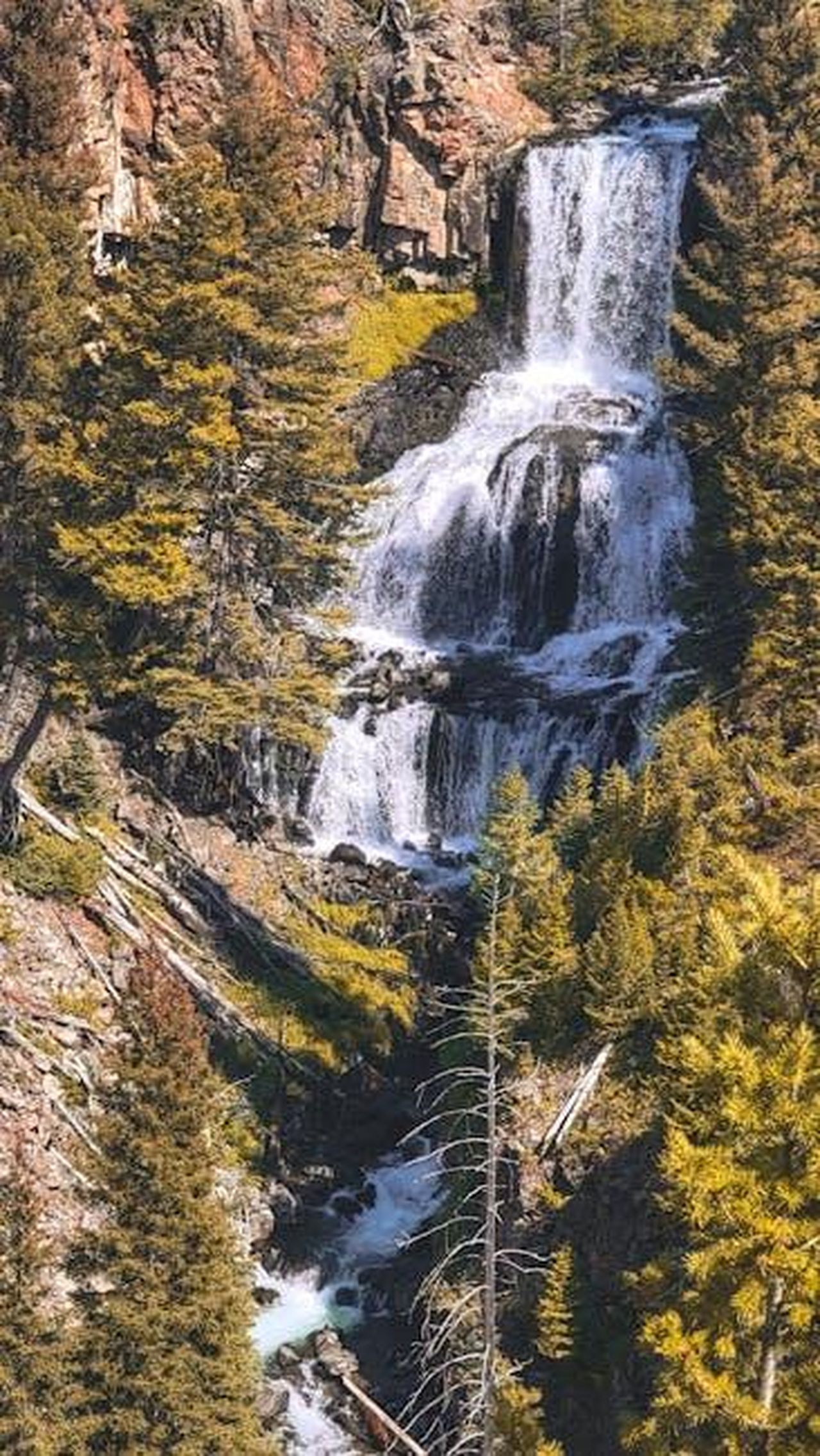 La_figura_di_Undine_Spragg_e_il_suo_significato_gkRlG3t1HS - Confidenze24 Source: Dudubangbang Travel - pexels - Stunning view of Undine Falls amidst forest in Yellowstone National Park.