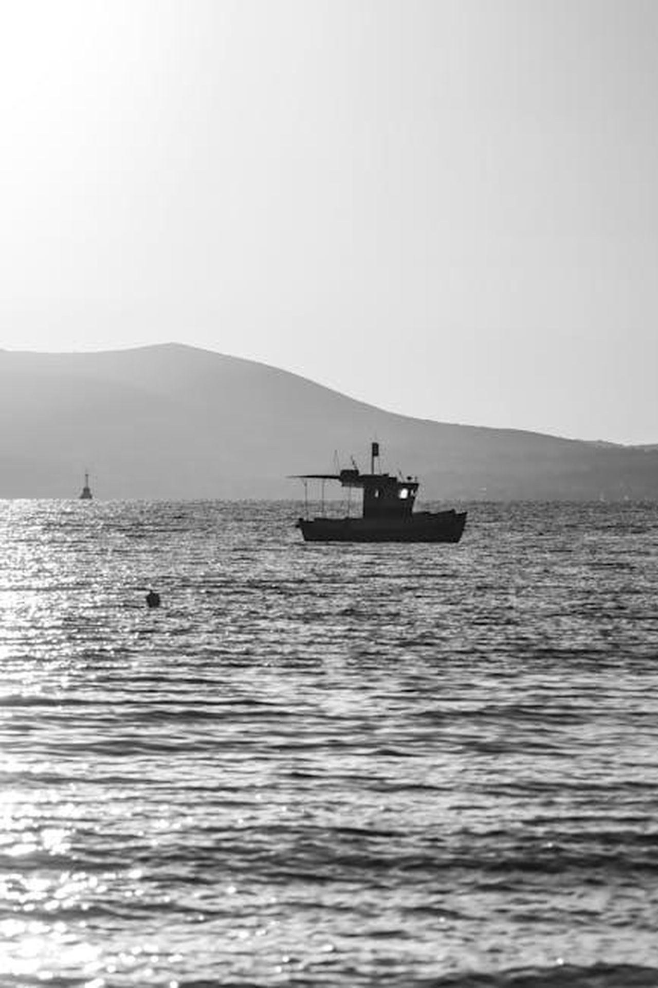 La_reazione_di_Jessica_Williams_agli_Oscar_KS53tndsPM - Confidenze24 Source: Efrem Efre - pexels - Naxos
